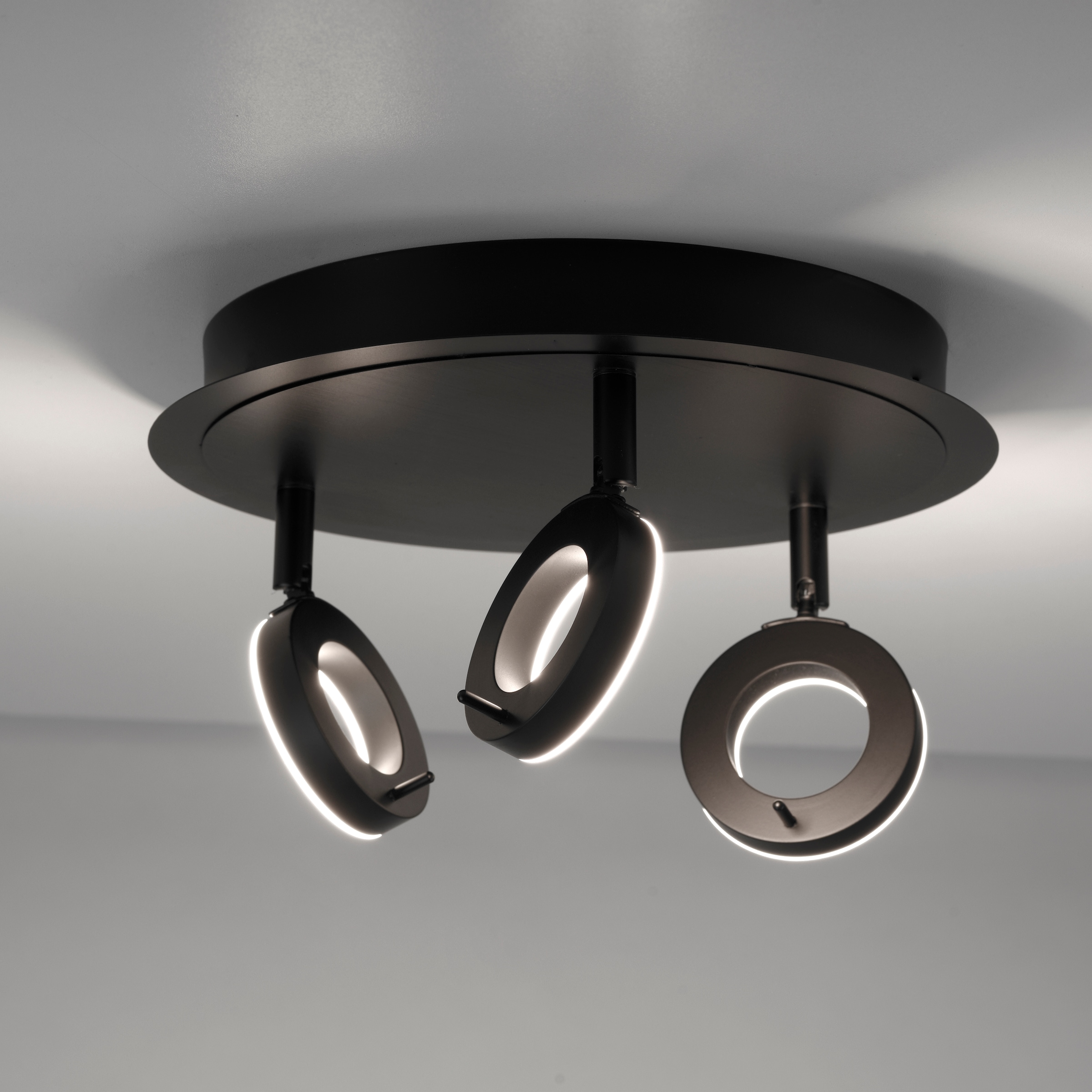 Paul Neuhaus Deckenleuchte »SILEDA«, 3 flammig, Leuchtmittel LED-Board | LED fest integriert, LED, IP44
