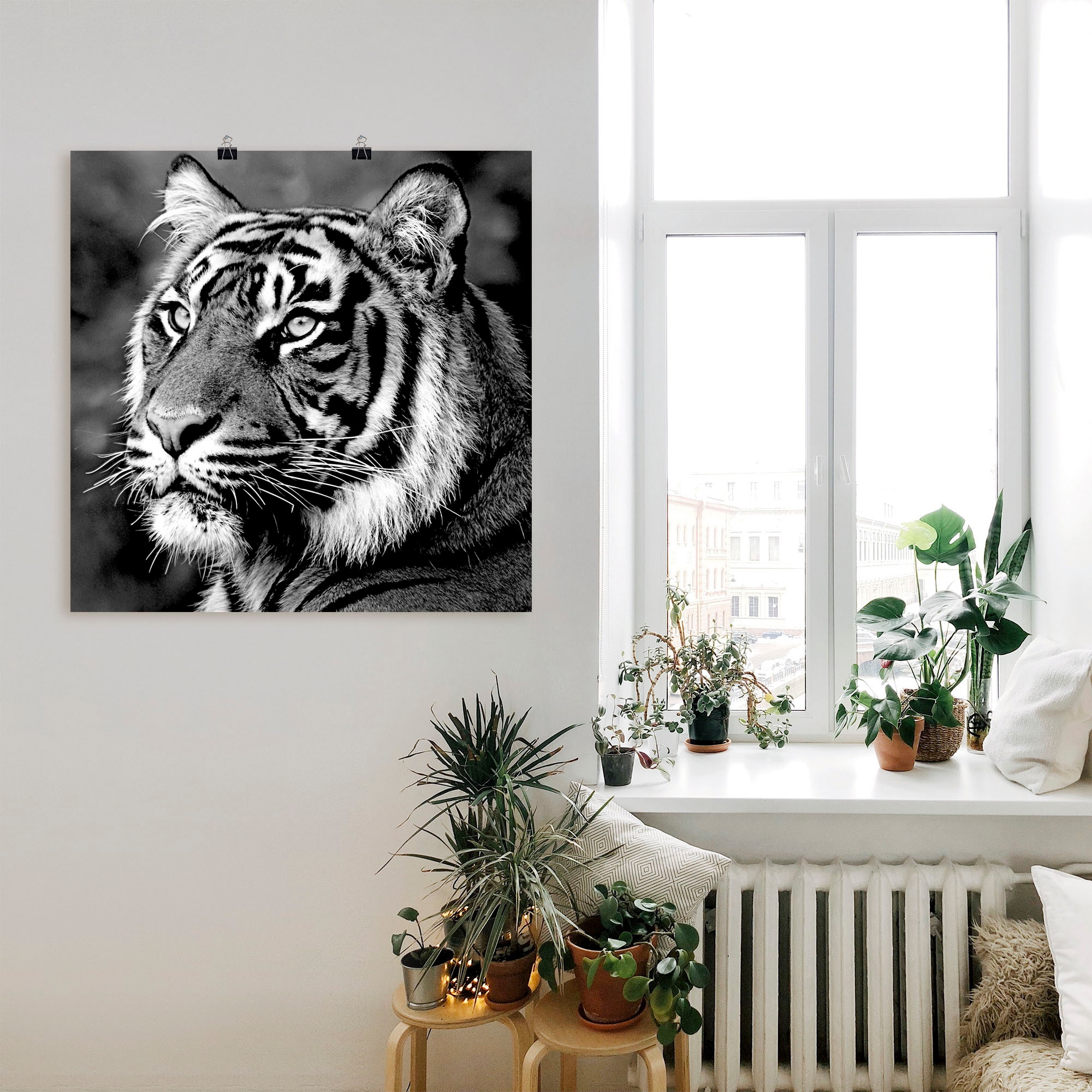 (1 Shop Artland OTTO als Poster versch. im St.), Wandbild oder in Größen Wandaufkleber »Tiger«, Wildtiere, Leinwandbild, Online