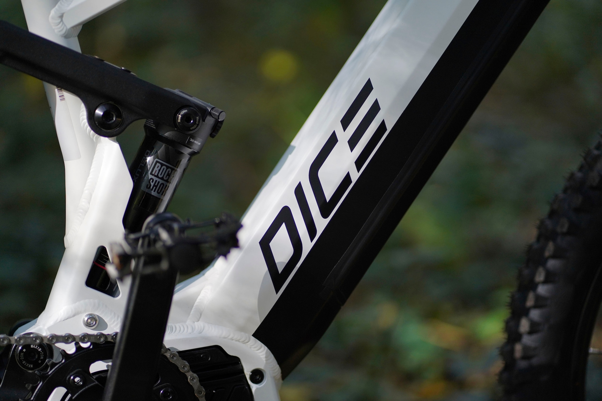 Prophete E-Bike »DICE 5.0«, 12 Gang, Shimano, Mittelmotor 250 W, Pedelec