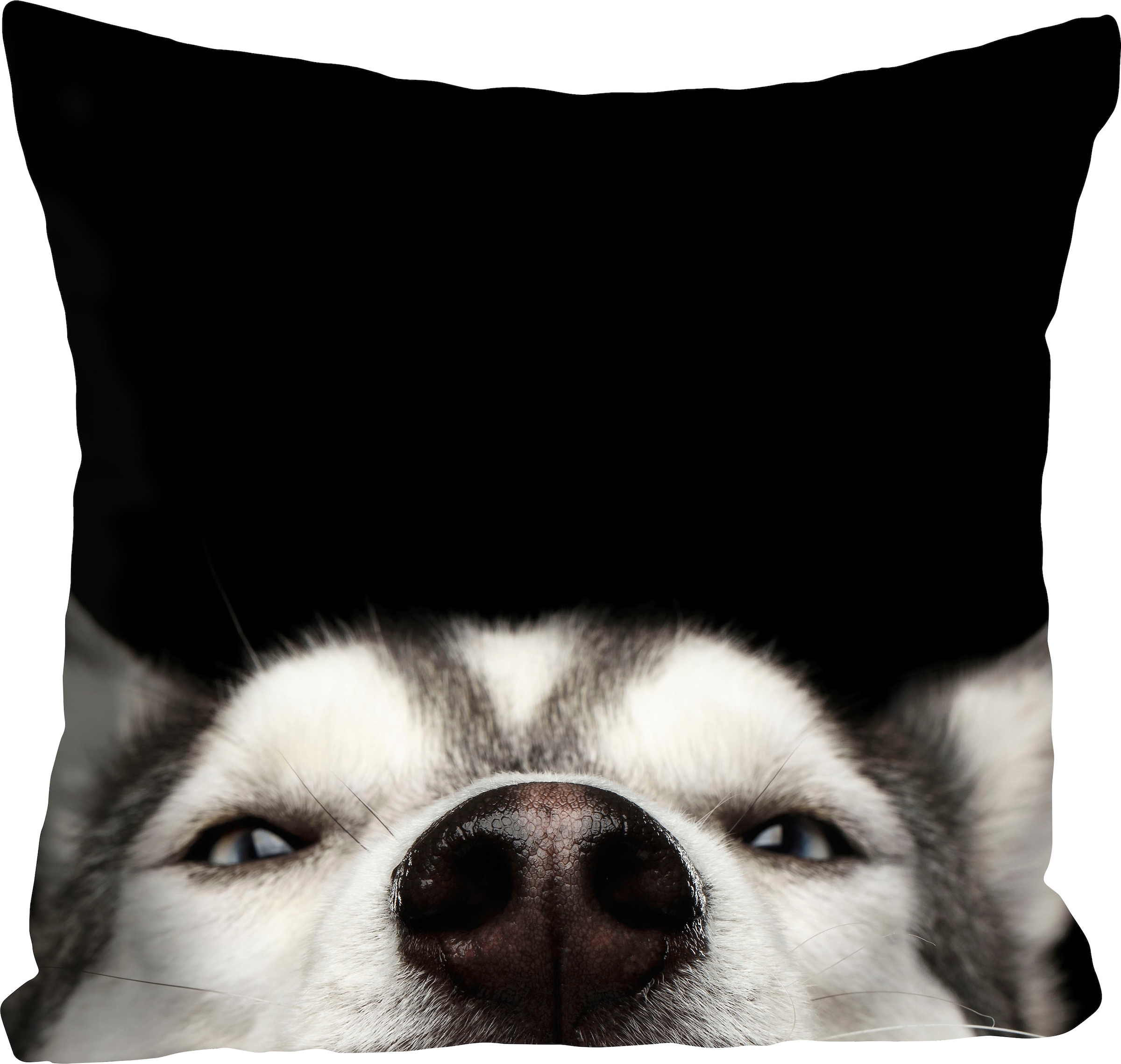 queence Dekokissen »Husky«, Kissenhülle,Schwarzer Hintergrund,Husky,Hund,Winterlich,Elegant