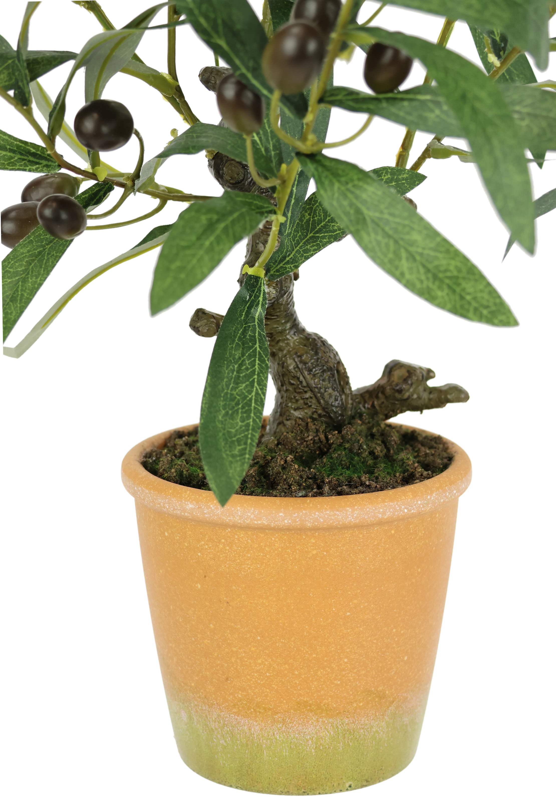 I.GE.A. Kunstpflanze »Künstlicher Olivenbaum mit schwarzen Früchten« Olive Mediterran Ölbaum Grünpflanze Kunstbaum Dekobaum Baum