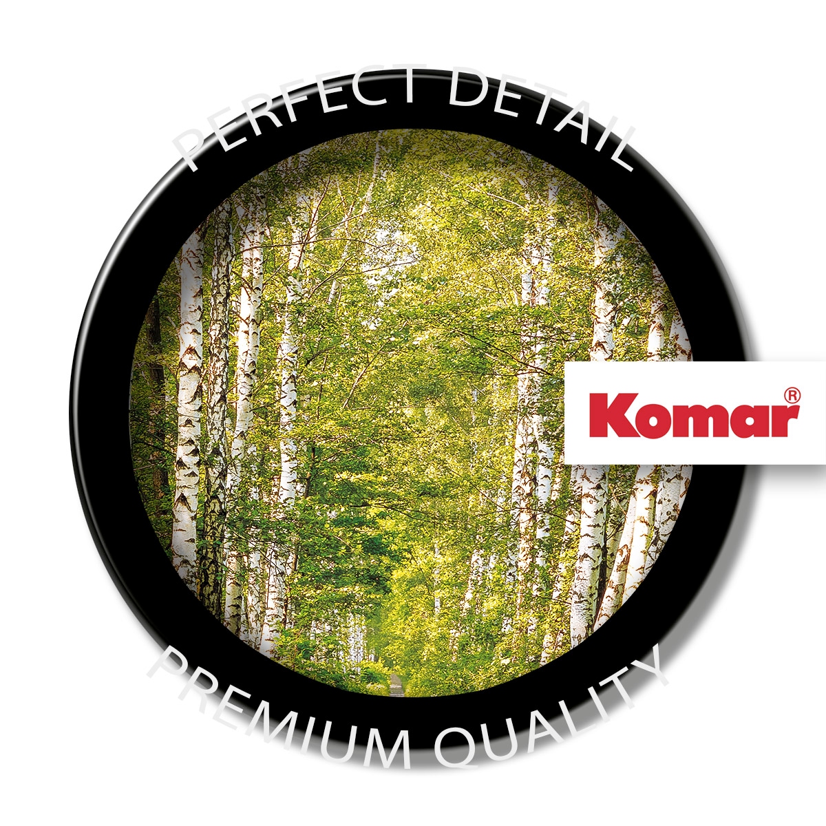 Komar Fototapete »Papier Fototapete - Birkenwald - Größe 368 x 254 cm« Motiv | bedruckt glatt