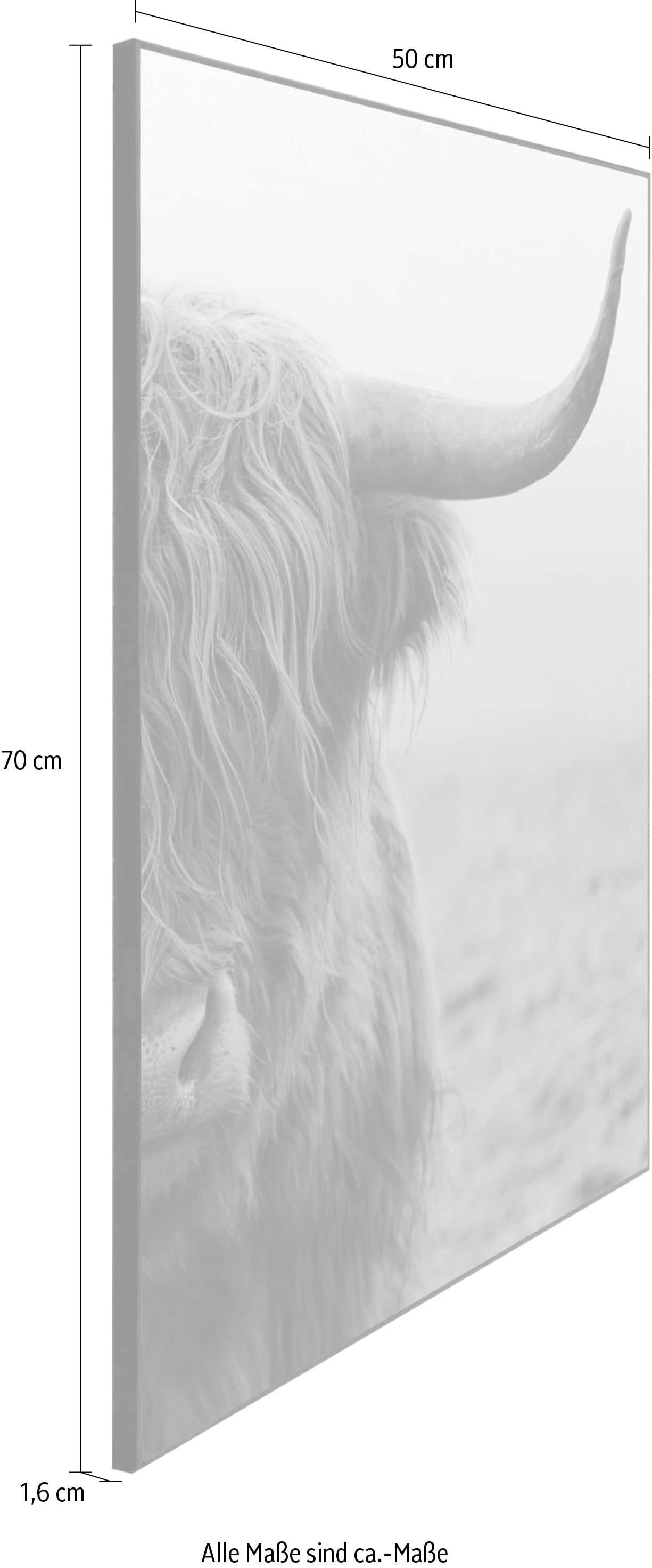 Reinders! Wandbild Highlander« Shop OTTO im »Slim 50x70 Online Frame Black