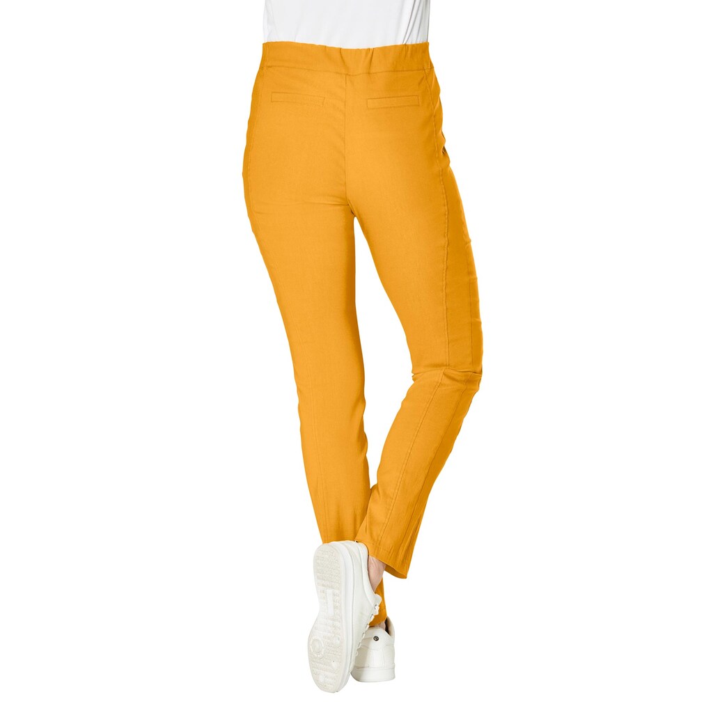 Stehmann Webhose