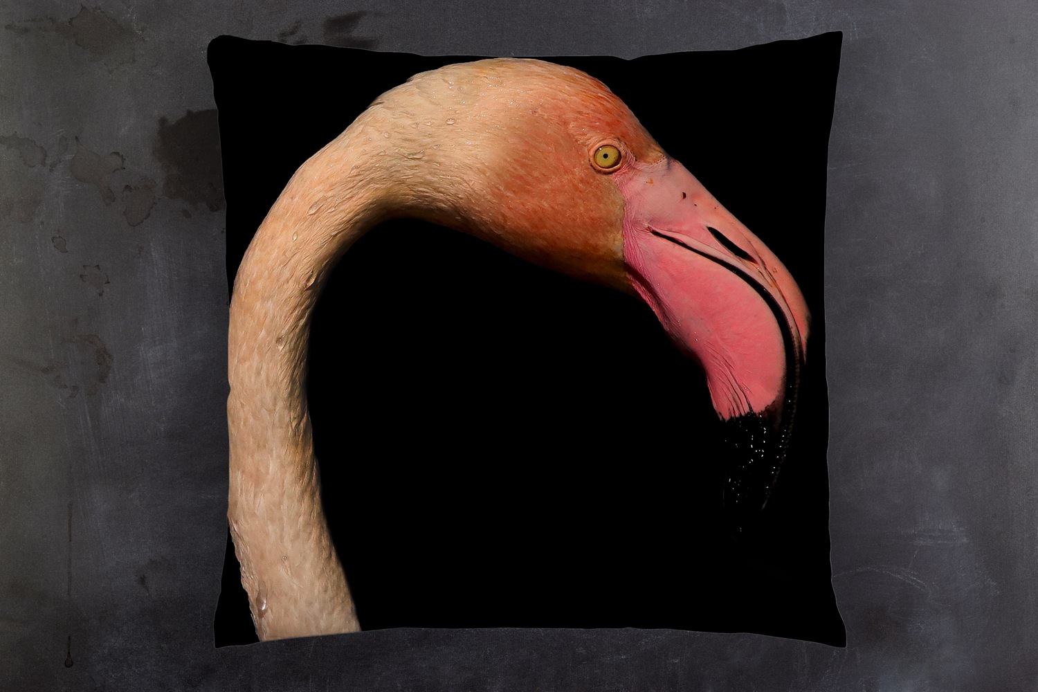 queence Dekokissen »Flamingo«, Kissenhülle mit HD Premium Druck, geruchsneutral, 40x40cm