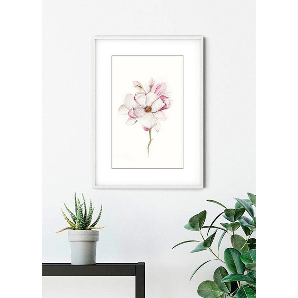 Komar Poster »Magnolia Blossom«, Blumen, (1 St.)