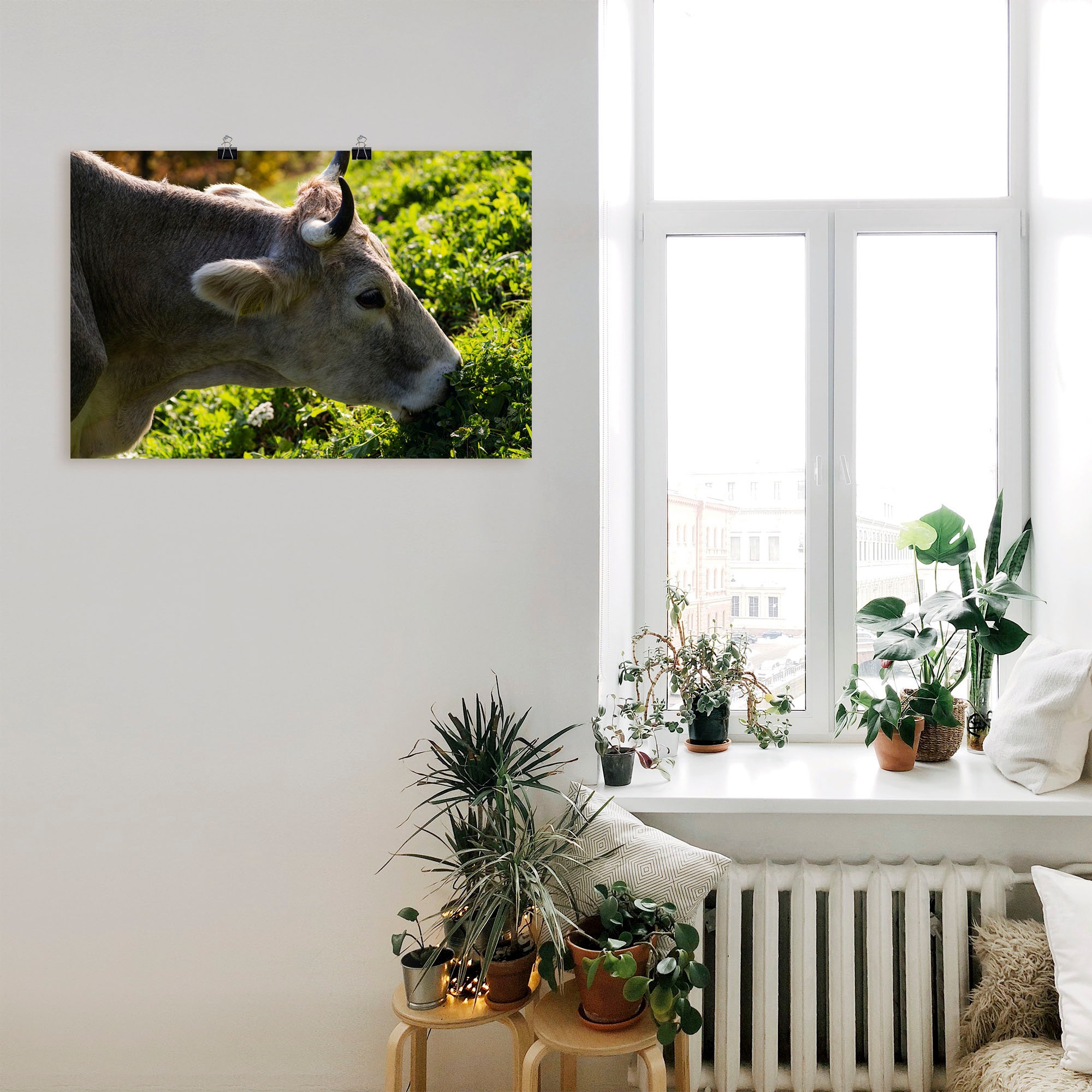 Artland Poster »Eine glückliche Südtiroler Kuh«, Kuhbilder, (1 St.), als Alubild, Leinwandbild, Wandaufkleber oder Poster in versch. Größen
