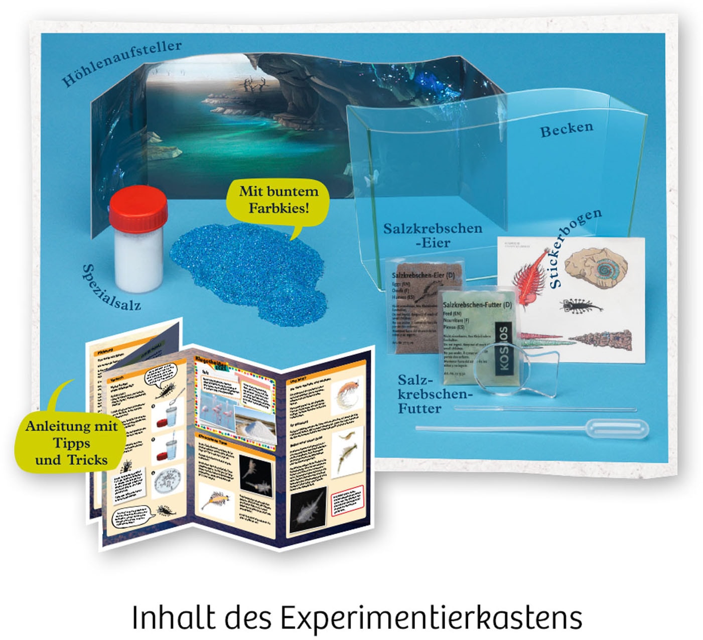 Kosmos Experimentierkasten »Fun Science Wuselnde Salzkrebse«, Made in Germany