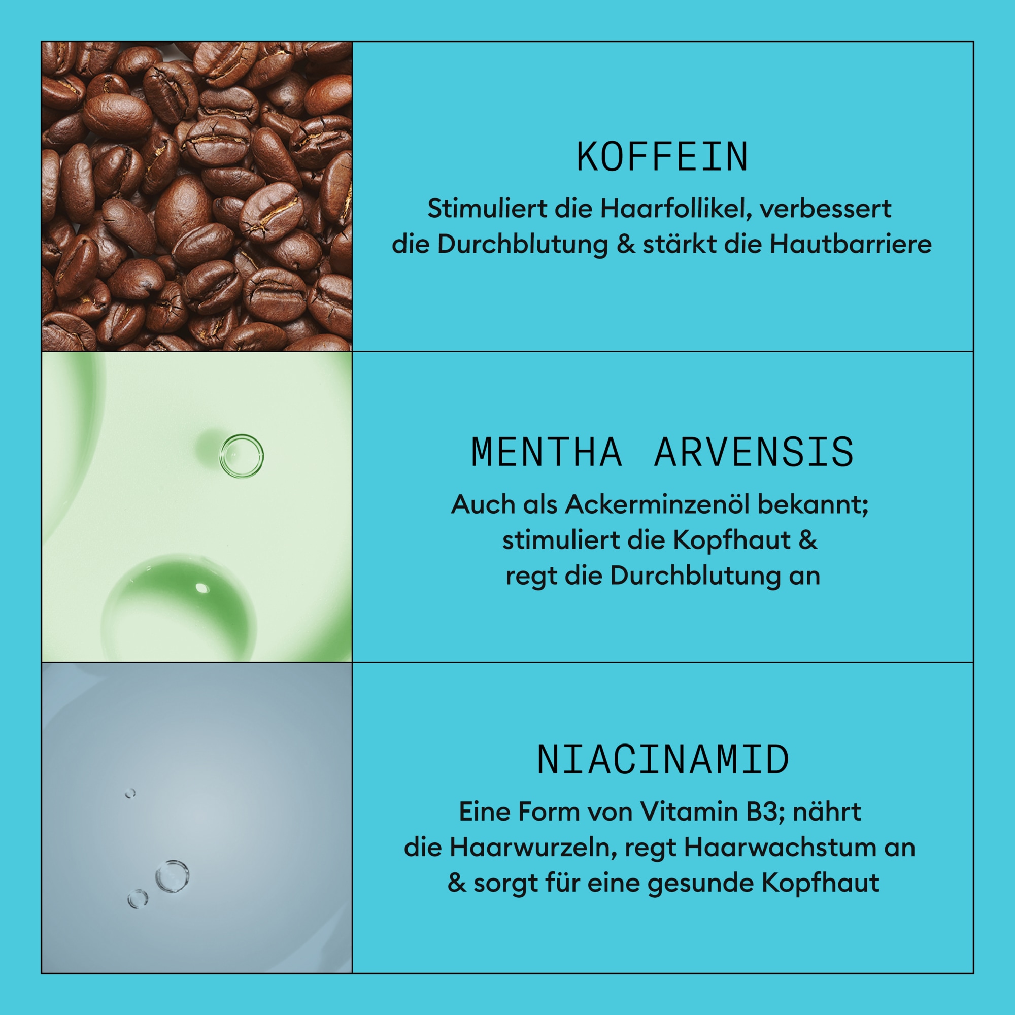 Nioxin Kopfhaut-Pflegelotion »System 3 Leave-on Treatment« mehr Volumen, schützt vor Haarbruch, speziell für coloriertes Haar