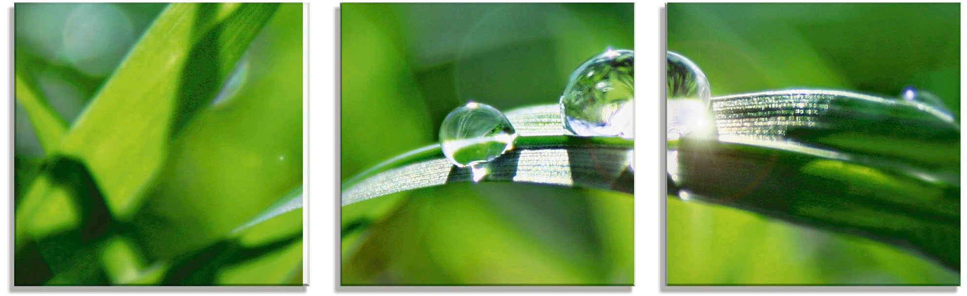 Artland Glasbild »Grüner Hintergrund mit Gras«, Gräser, (3 St.)