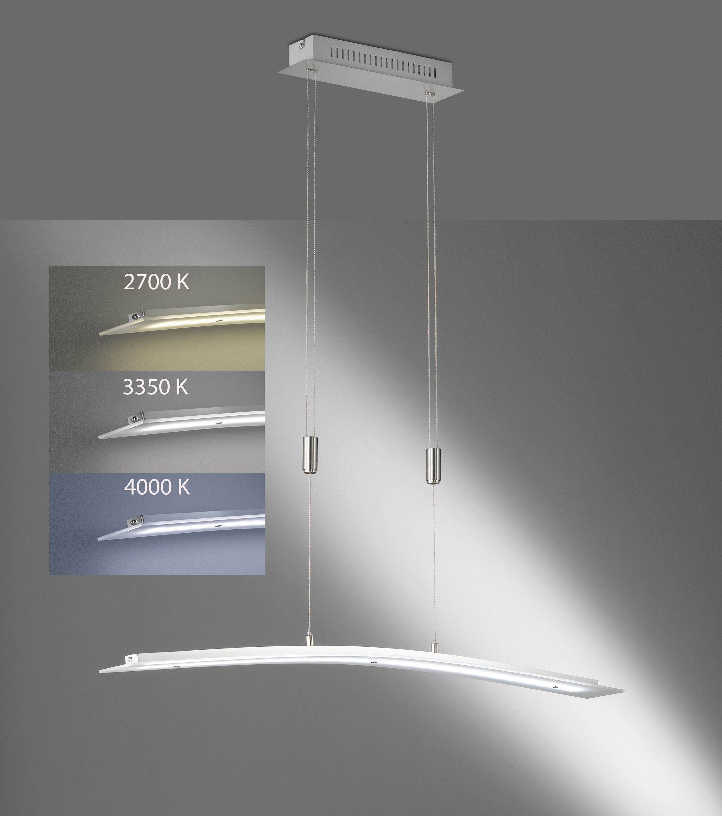 FISCHER & HONSEL LED Pendelleuchte »Metis«, 1 flammig, Leuchtmittel LED-Modul | LED fest integriert