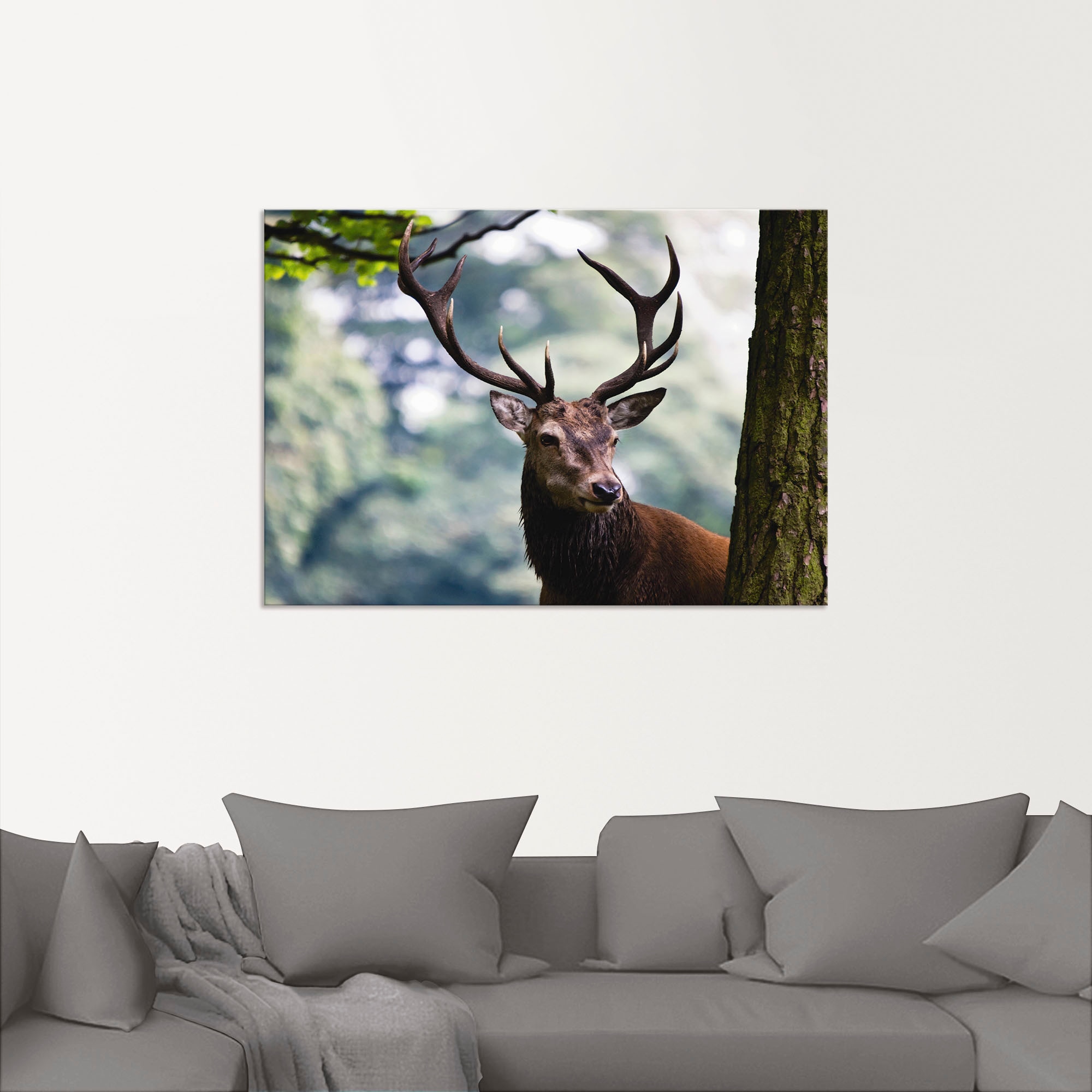 Artland Wandbild »Hirsch«, Wildtiere, (1 St.), als Alubild, Outdoorbild, Leinwandbild, Poster in verschied. Größen