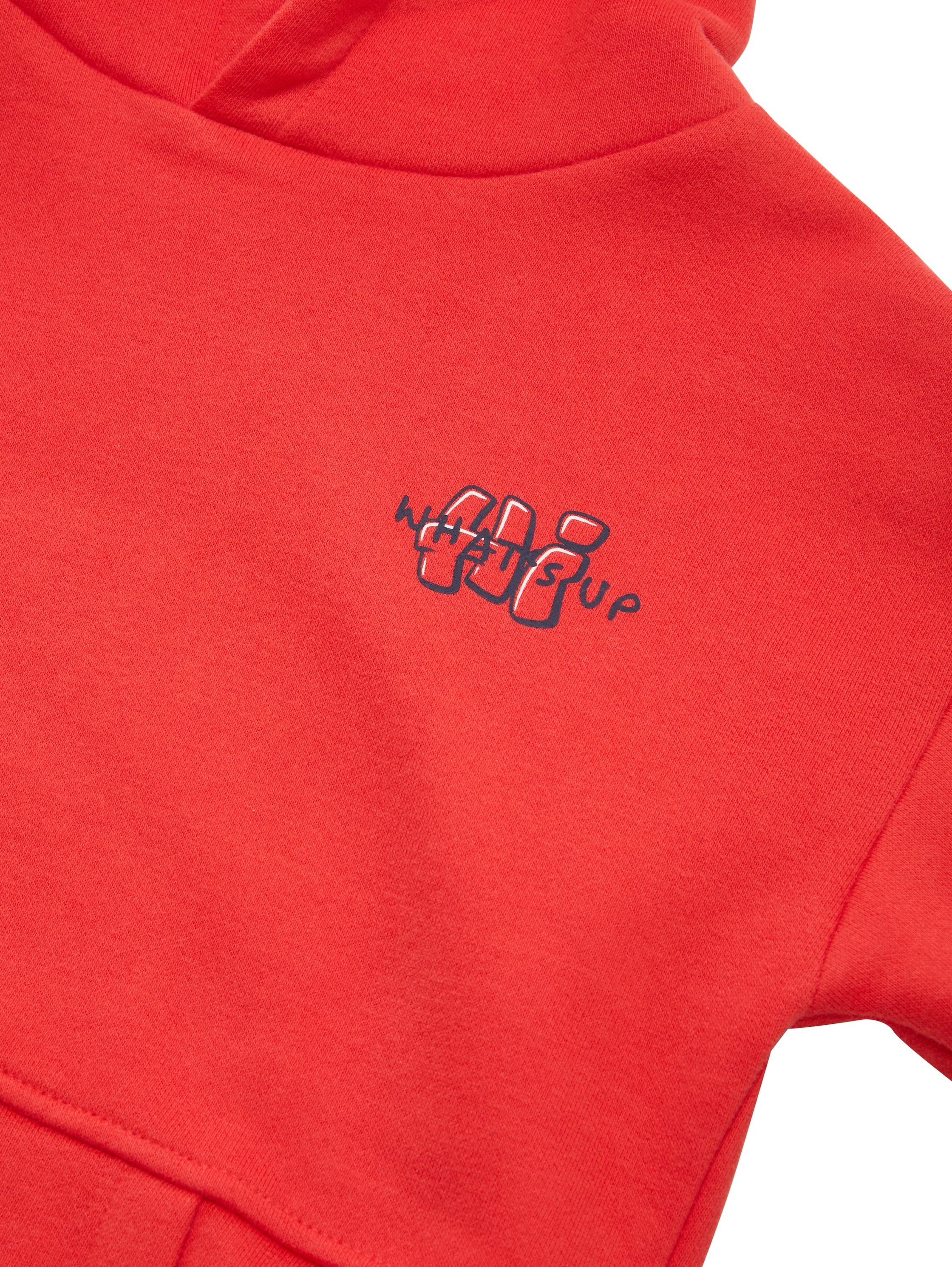 TOM TAILOR Hoodie mit Elch-Frontprint und Rückenprint, für Kids