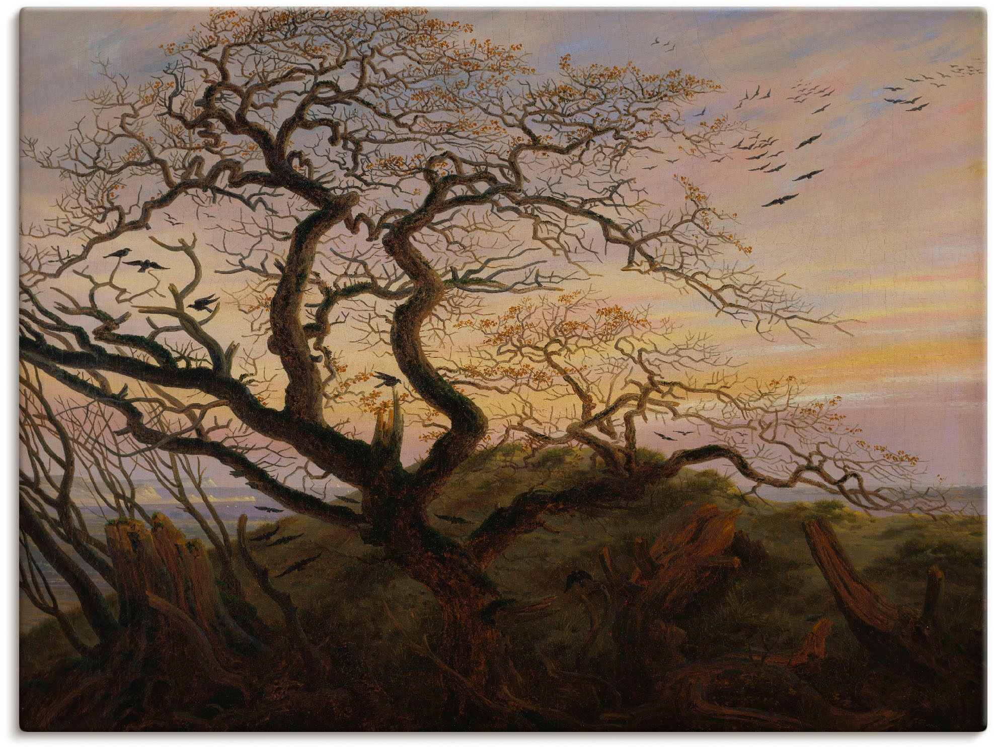 Artland Wandbild »Rabenbaum Kahler Baum Küste Rügens«, Bäume, (1 St.), in vielen Größen & Produktarten - Alubild / Outdoorbild für den Außenbereich, Leinwandbild, Poster, Wandaufkleber / Wandtattoo auch für Badezimmer geeignet