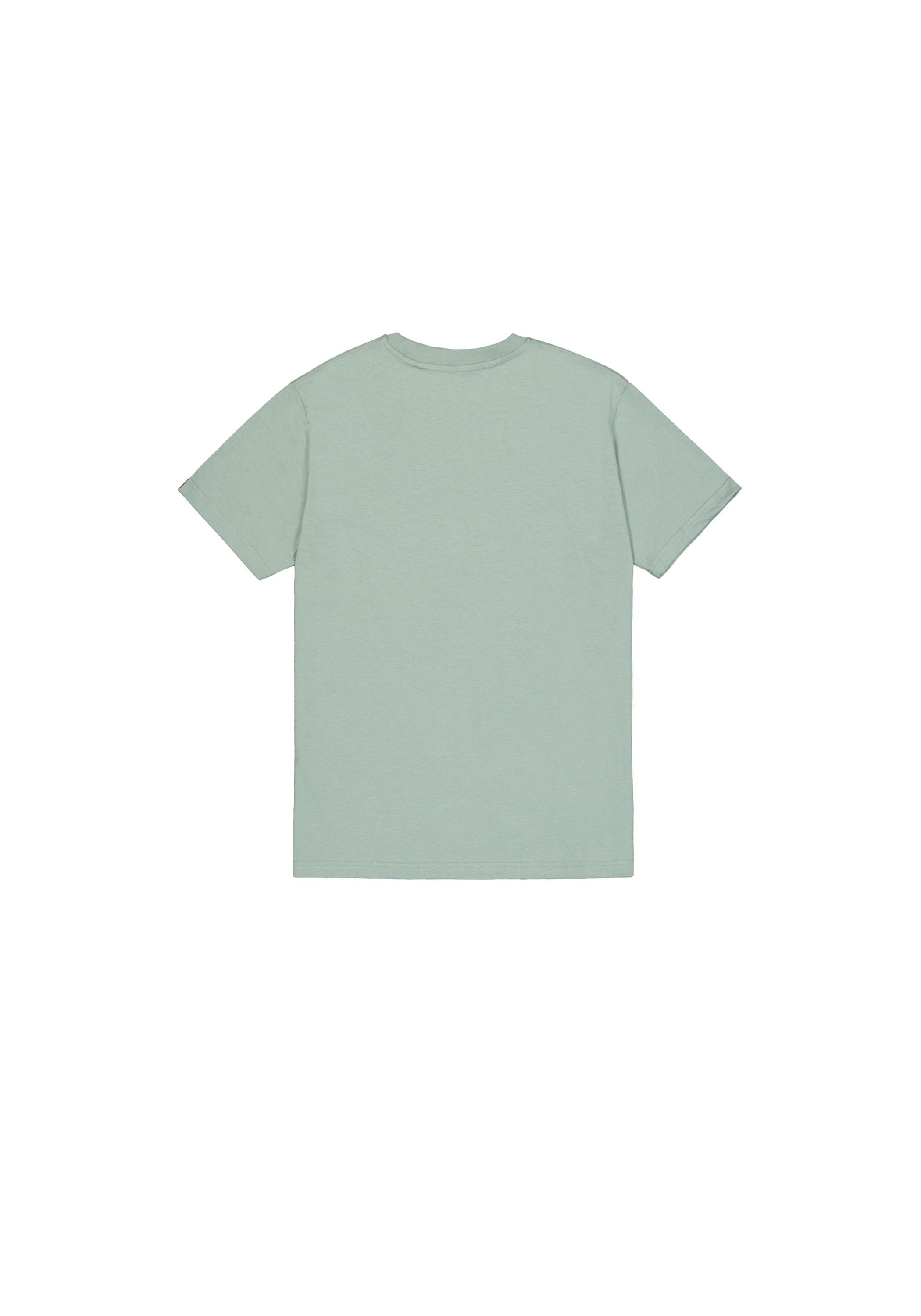 Alpha Industries T-Shirt »DTM Alpha T-Shirt«