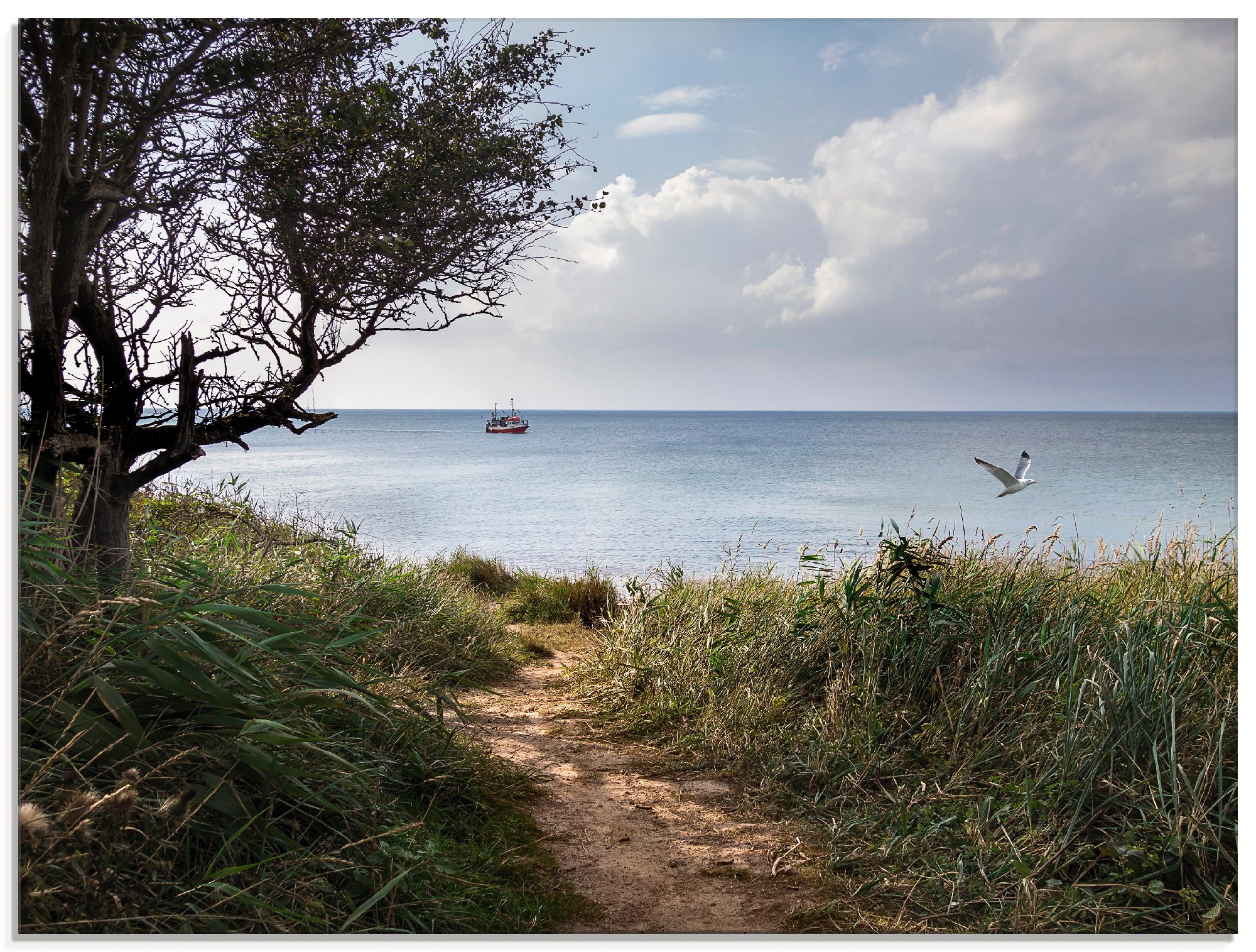 Glasbild »Wege zum Meer....«, Gewässer, (1 St.), in verschiedenen Größen