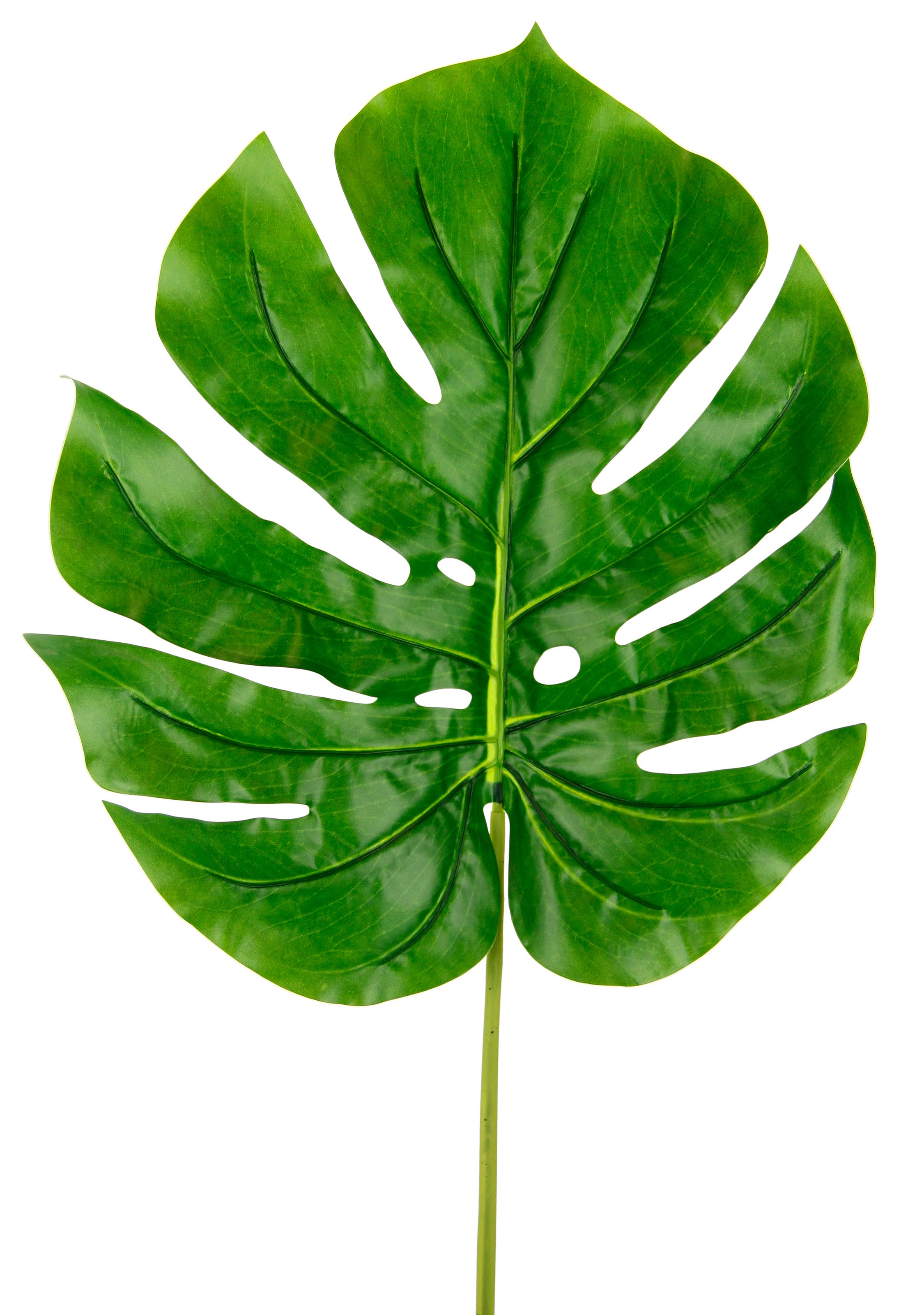 I.GE.A. Kunstpflanze »Splitphiloblatt« Monstera, Kunstzweig, 5er Set