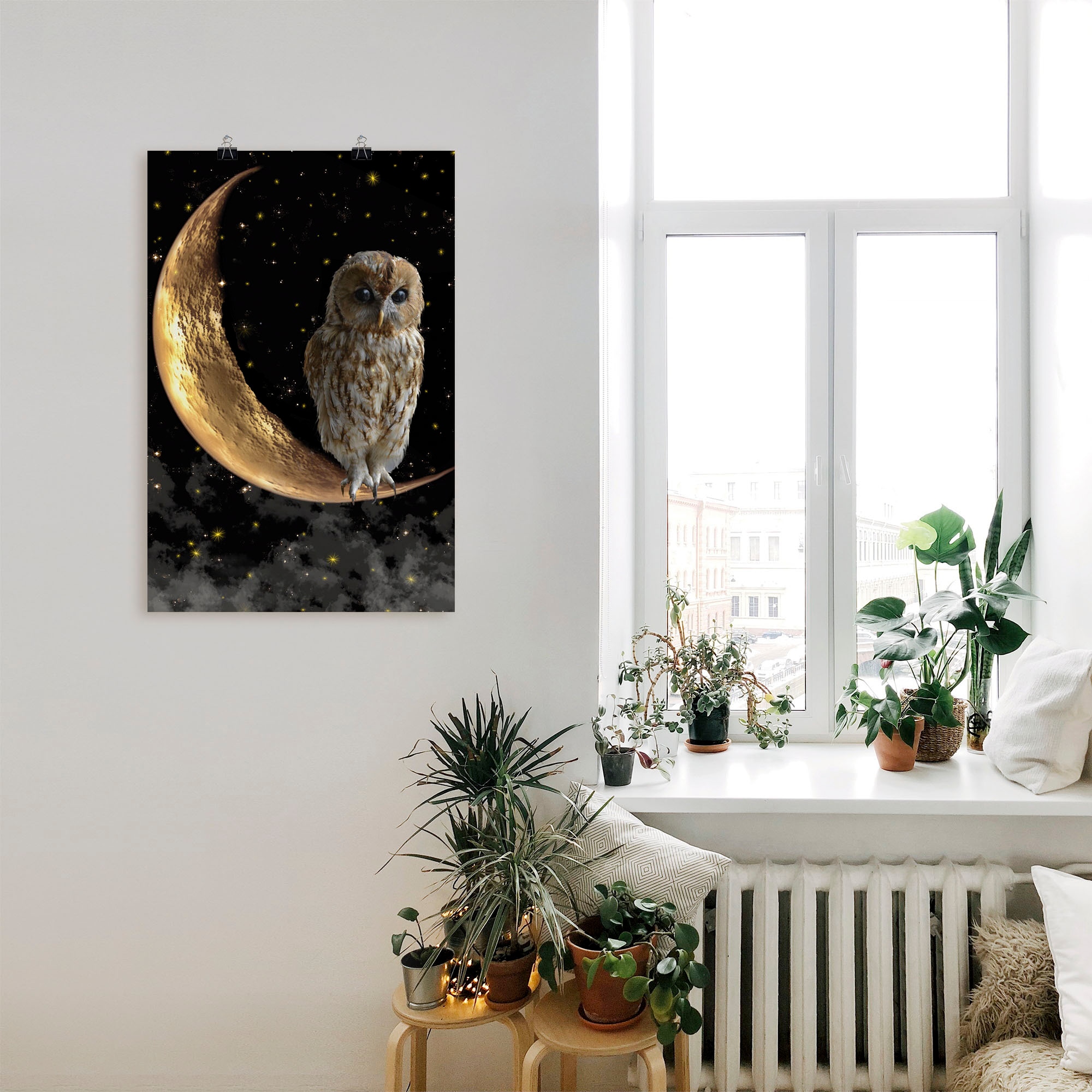 Artland Wandbild »Nachteule« Vögel 1 Stk. tlg. als Alubild, Leinwandbild, Poster in verschied. Größen
