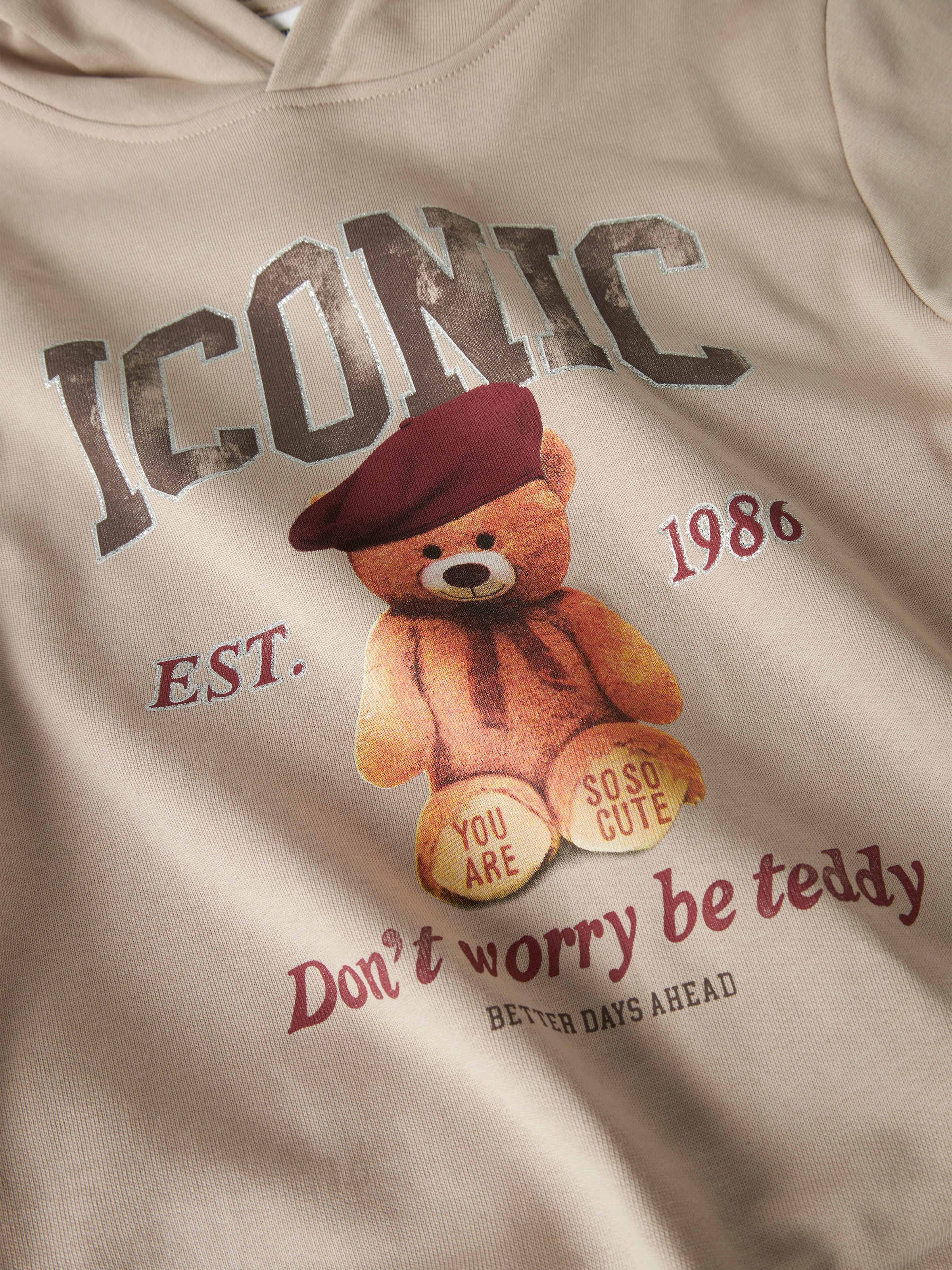 Name It Hoodie »NKFRYCCA LS NREG SWEAT WH BRU BOX«
