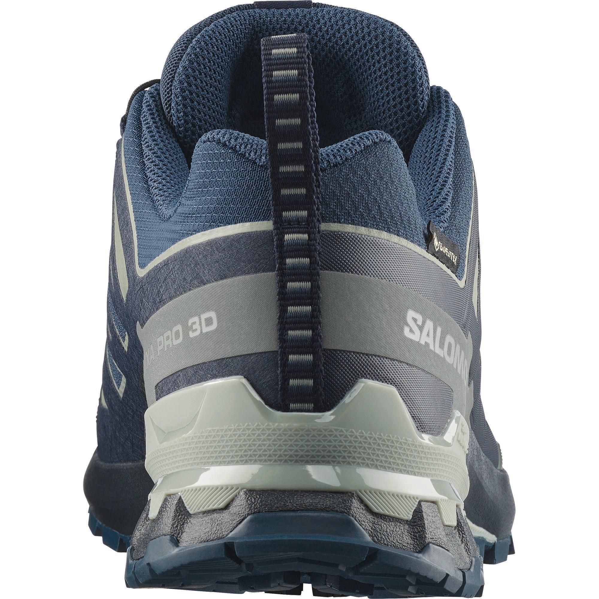 Salomon Trailrunningschuh »XA PRO 3D V9 GORE-TEX®«  wasserdicht