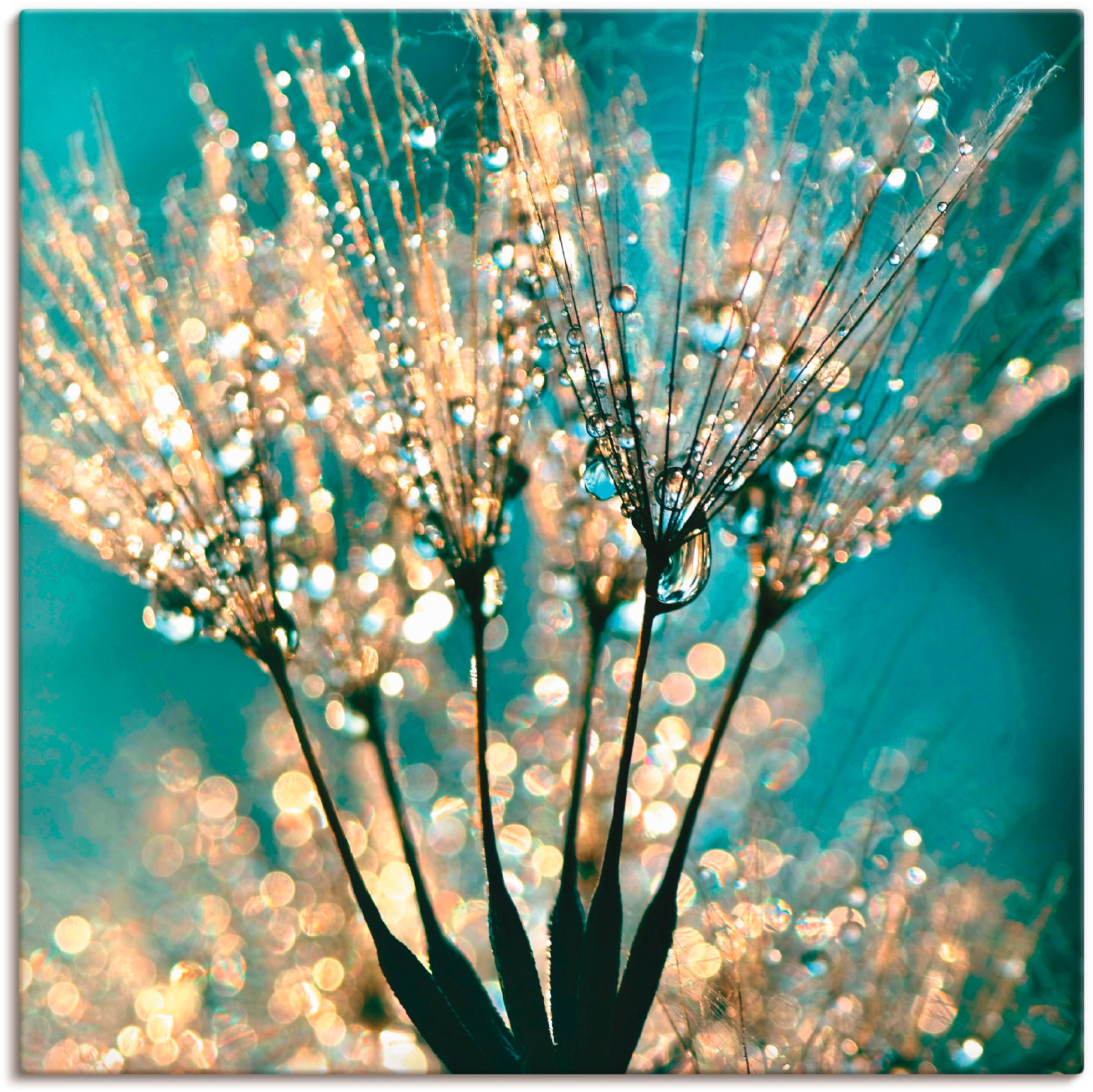 Artland Wandbild »Pusteblume Schirmchen abstrakt«, Blumen, (1 St.), in vielen Größen & Produktarten - Alubild / Outdoorbild für den Außenbereich, Leinwandbild, Poster, Wandaufkleber / Wandtattoo auch für Badezimmer geeignet