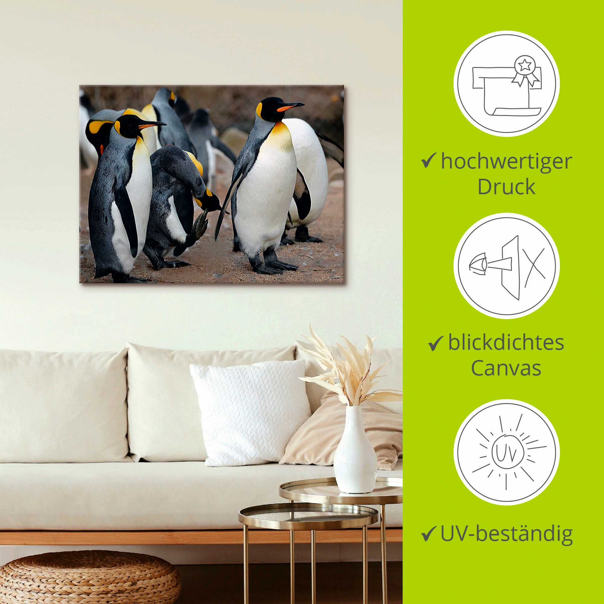 Artland Wandbild »Königspinguin«, Vögel, (1 St.), als Leinwandbild, Wandaufkleber in verschied. Größen