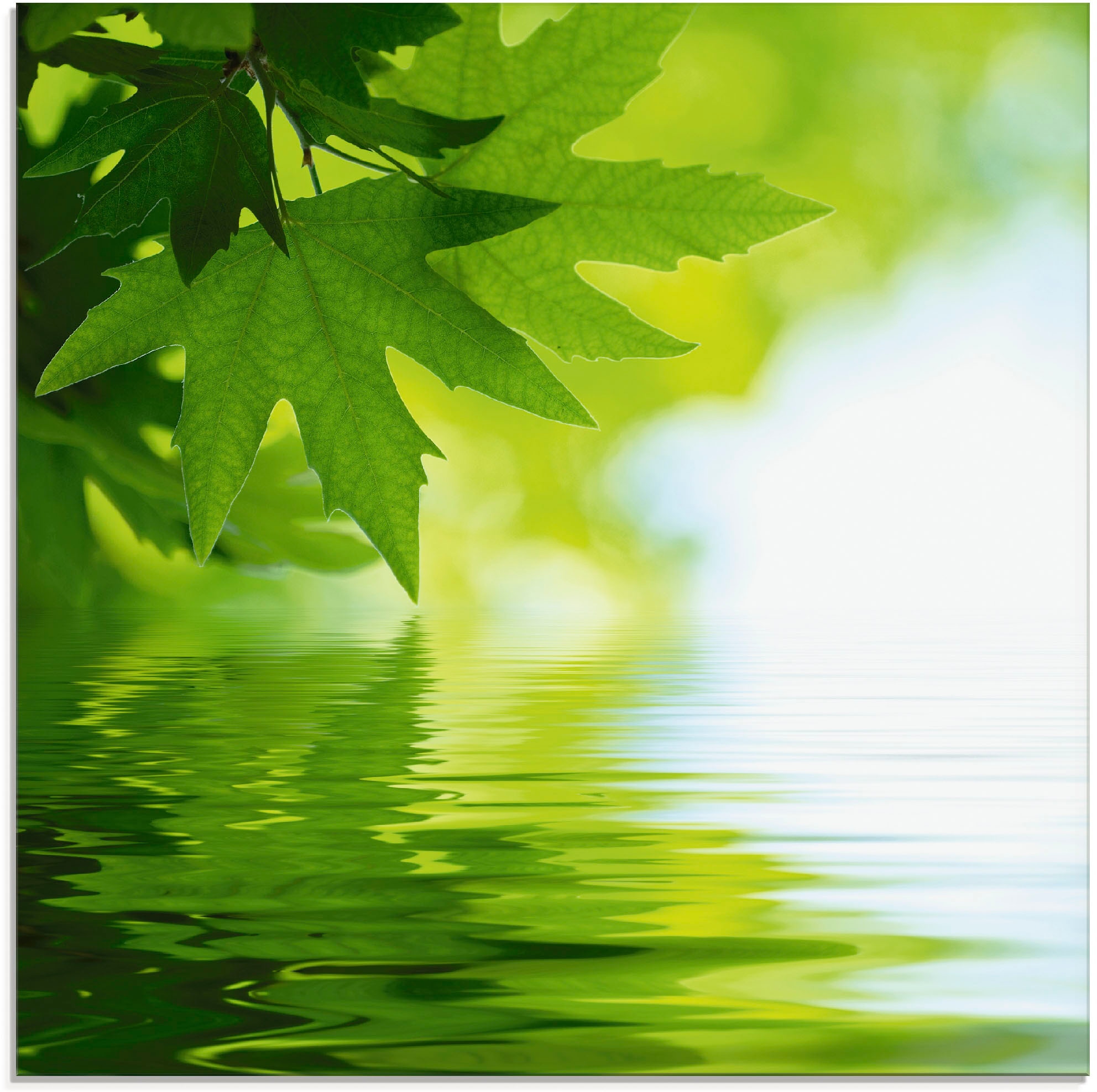 Artland Glasbild »Grüne Blätter reflektieren Blätter, verschiedenen online bei (1 Größen OTTO bestellen in Wasser«, im St.)