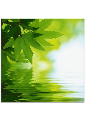 Glasbild »Grüne Blätter reflektieren im Wasser«, Blätter, (1 St.)
