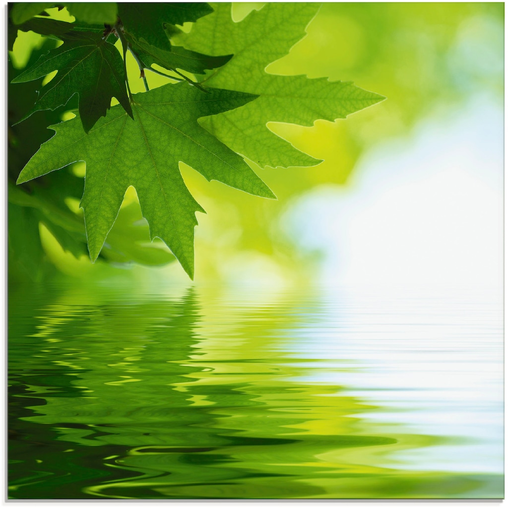 Artland Glasbild »Grüne Blätter reflektieren im Wasser«, Blätter, (1 St.)