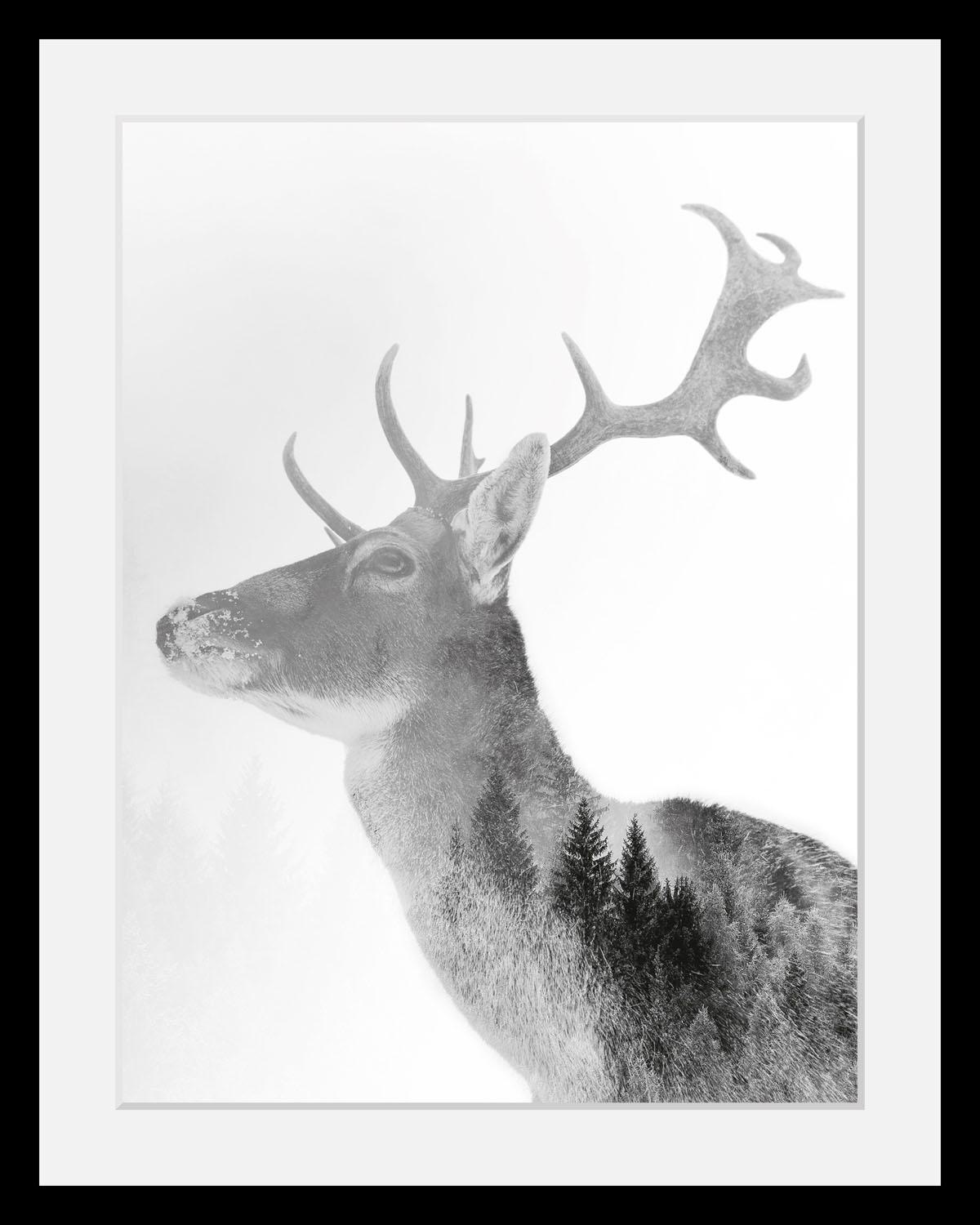 queence Bild »Hirsch«, Hirsch-Tiere-Wildtiere-Hirschbilder-Wald-Waldbilder-Schwarz-Weiß, HD Premium Poster-Druck inkl. Holzrahmen