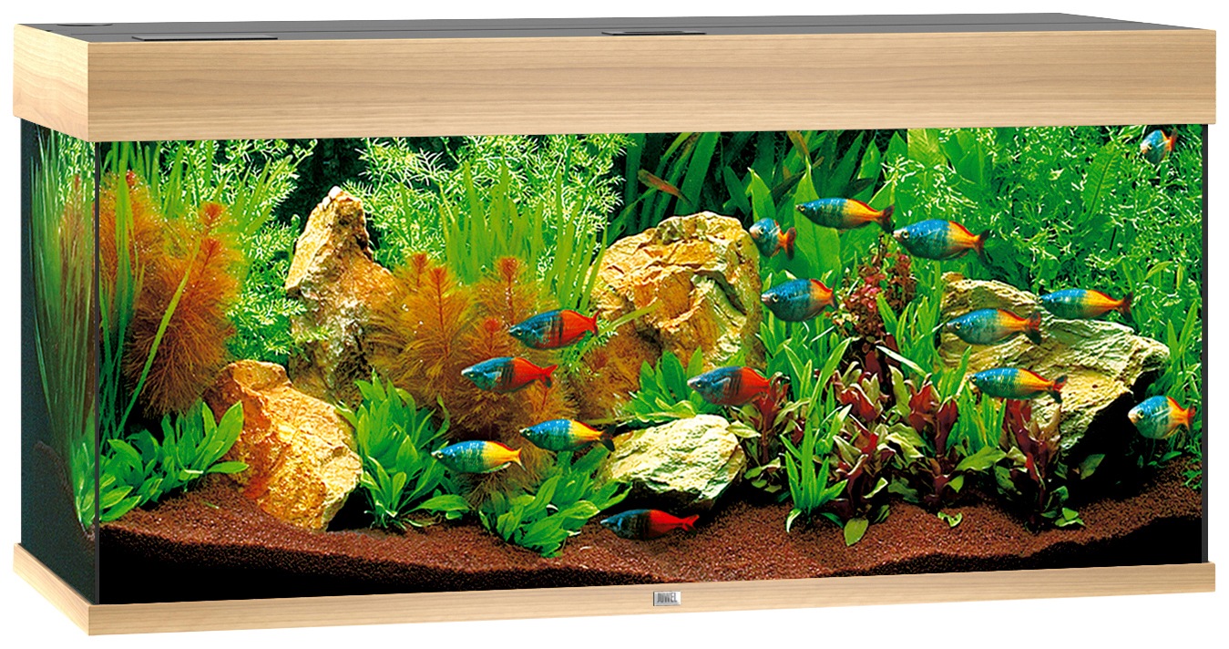 JUWEL AQUARIEN Aquarium »Rio 180 LED«, BxTxH: 101x41x50 cm, 180 l kaufen