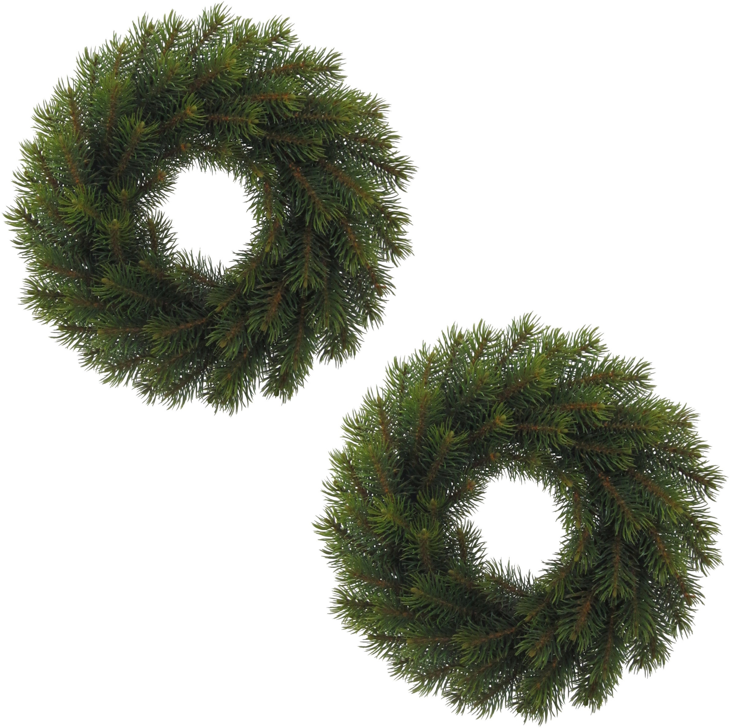 green bei cm, Ø Winterliche OTTO 2er-Set Creativ online 25 »Weihnachtsdeko«, Kranz, Kunstpflanze