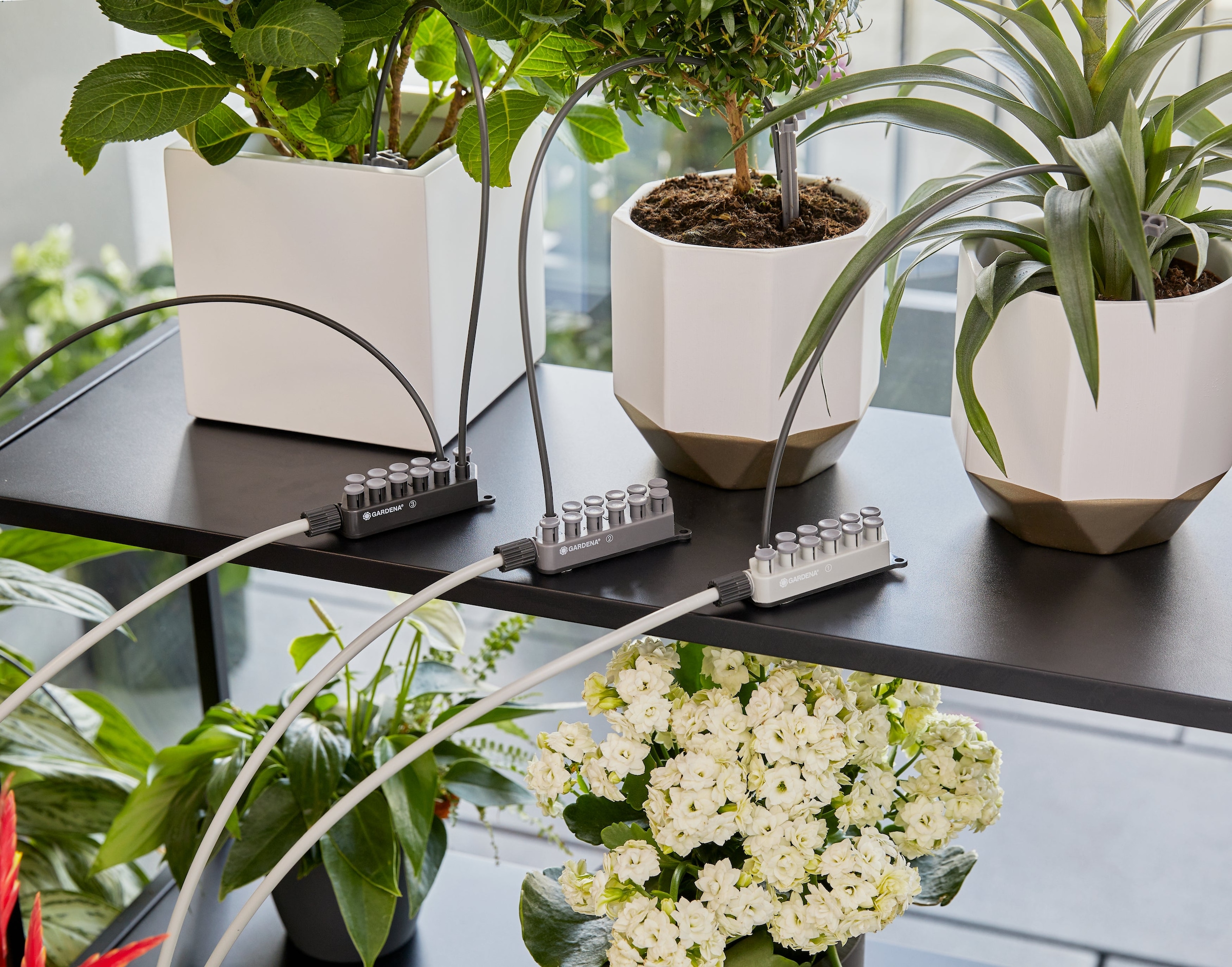 GARDENA Bewässerungssystem »Urlaubsbewässerung Set« ()  inkl. Wasserreservoir, für bis zu 36 Zimmerpflanzen
