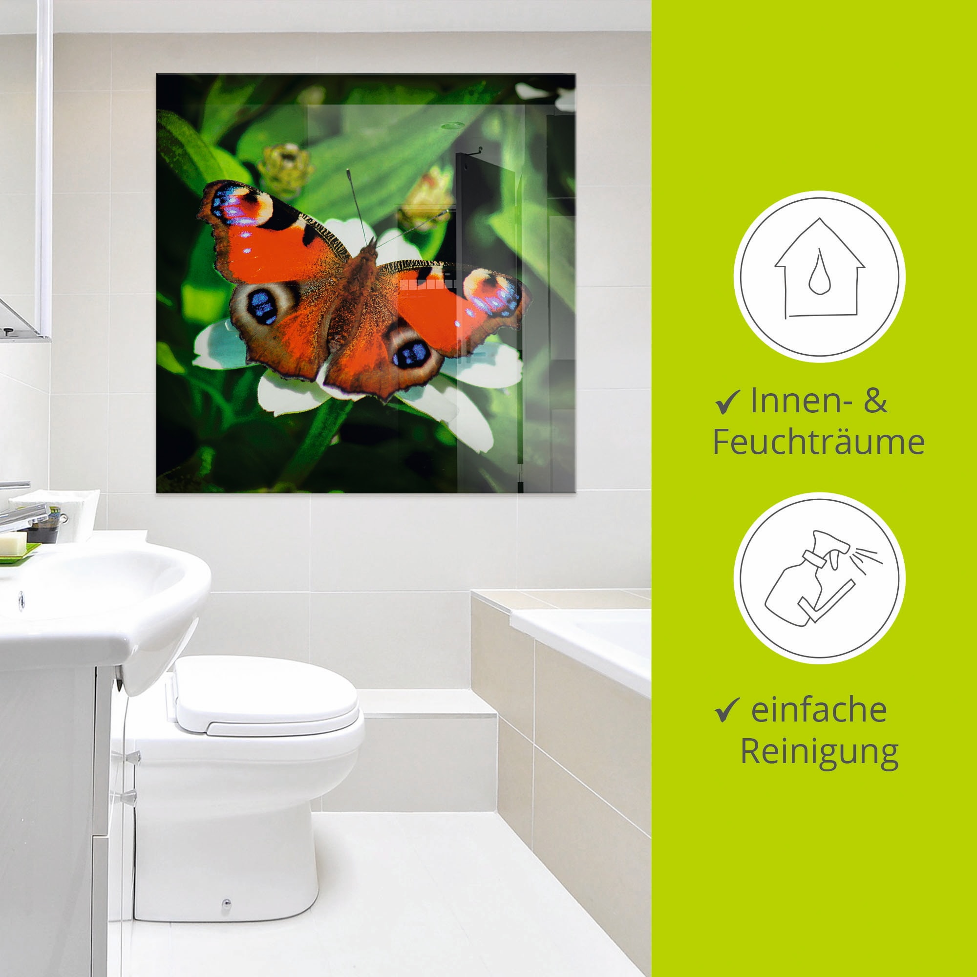 Artland Glasbild »Tagpfauenauge«, Insekten, (1 St.), in verschiedenen Größen
