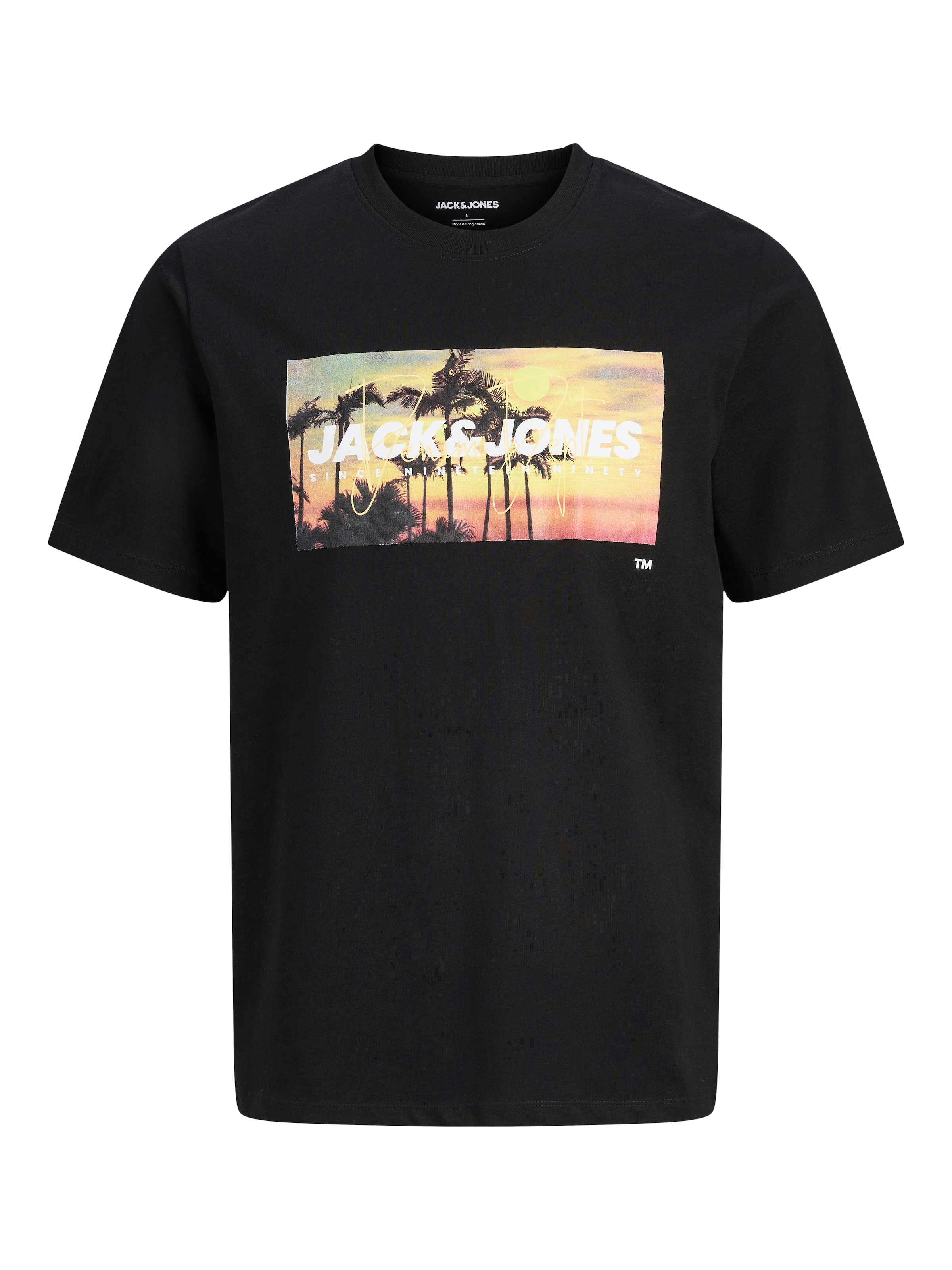 Jack & Jones PlusSize Rundhalsshirt »JJINDIANA TEE SS CREW NECK PLS« Baumwolle, regular fit