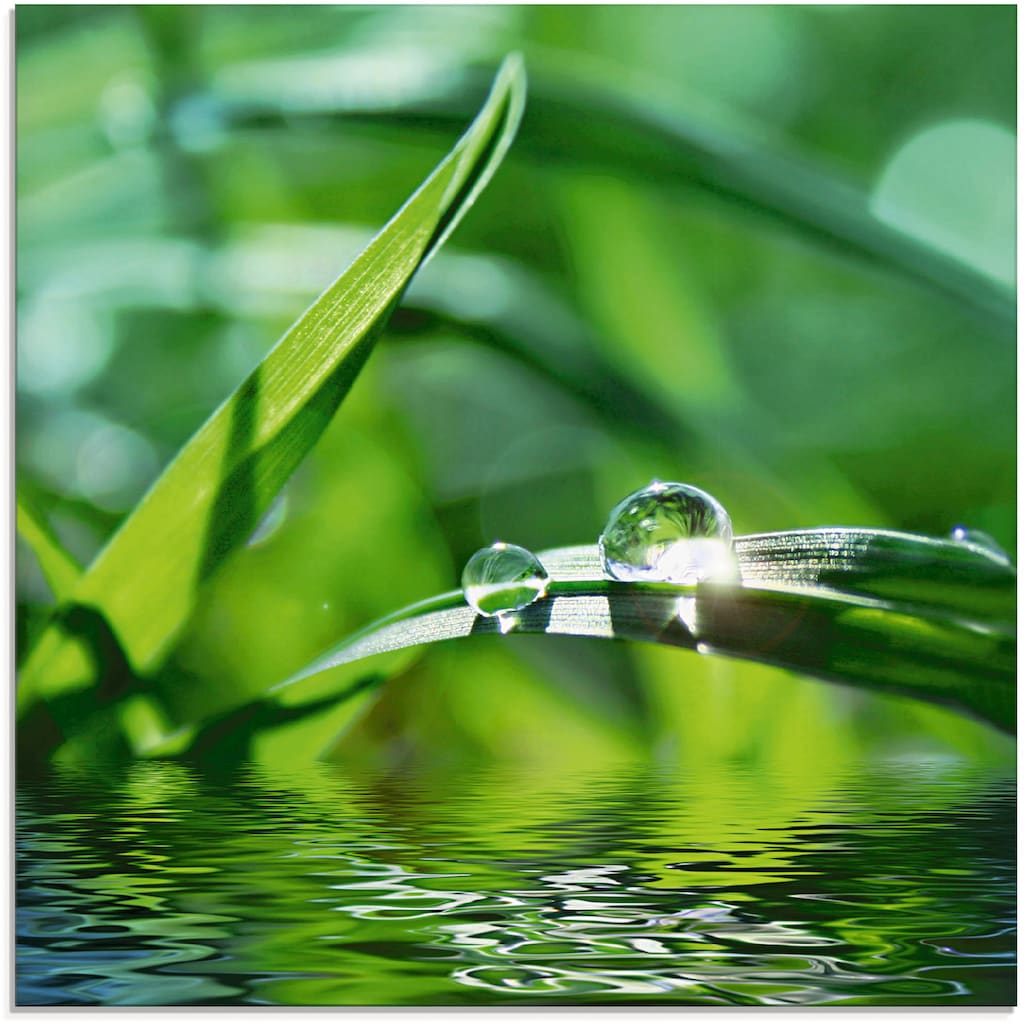 Artland Glasbild »Grüner Hintergrund mit Gras«, Gräser, (1 St.)