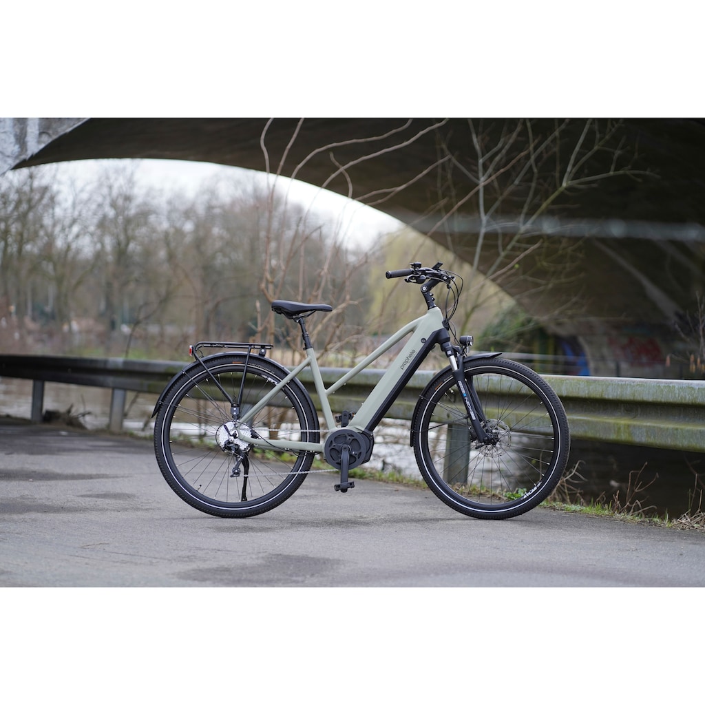 Prophete E-Bike »Entdecker 4.0«, 10 Gang, microSHIFT, RD-M61S, Mittelmotor 250 W