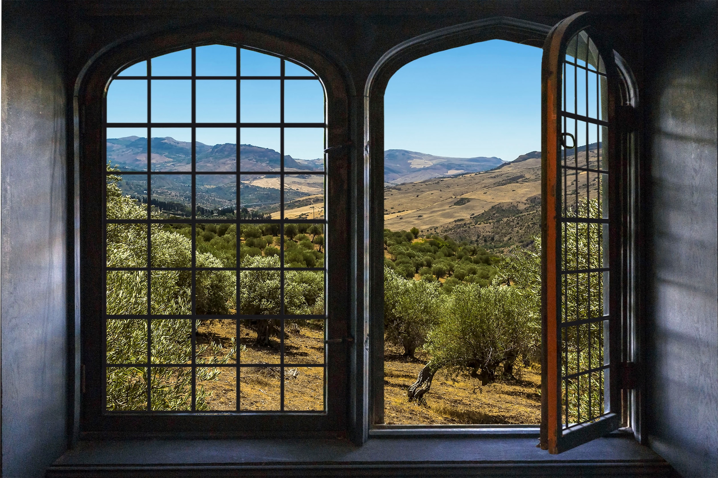 queence Wandsticker »Olivenbäume« Wandsticker, Wandbild, selbstklebend, 3D, Fenster