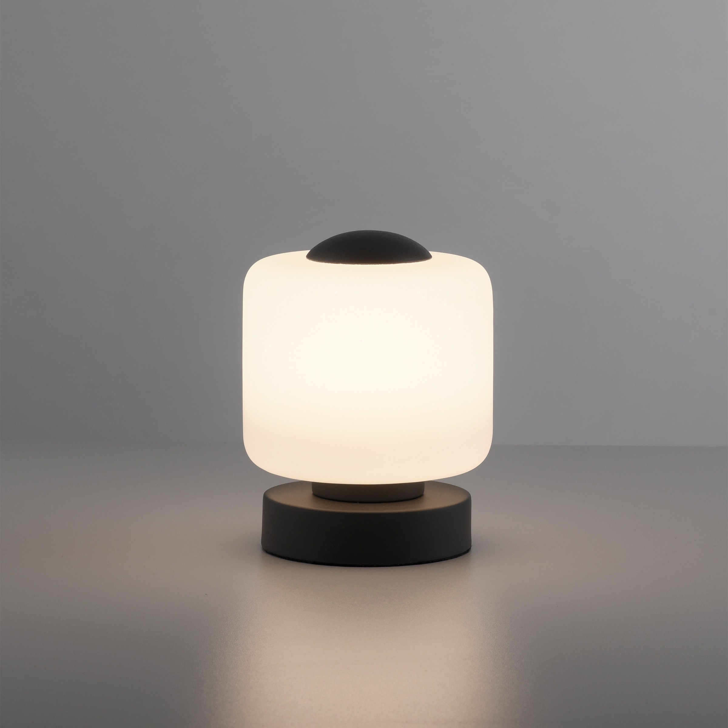 Paul Neuhaus Tischleuchte »BOTA«, 1 flammig, Leuchtmittel LED-Board | LED fest integriert, LED, dimmbar über Touchdimmer