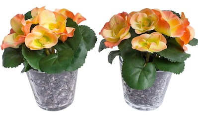 Botanic-Haus Kunstblume »Frühlingsblume«, (Set, 2 St.) kaufen im OTTO  Online Shop
