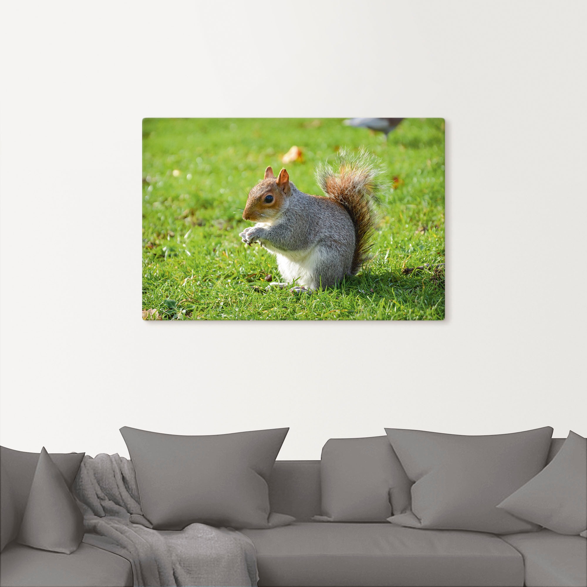 Artland Leinwandbild »Graues Eichhörnchen«, Wildtiere, (1 St.), auf Keilrahmen gespannt