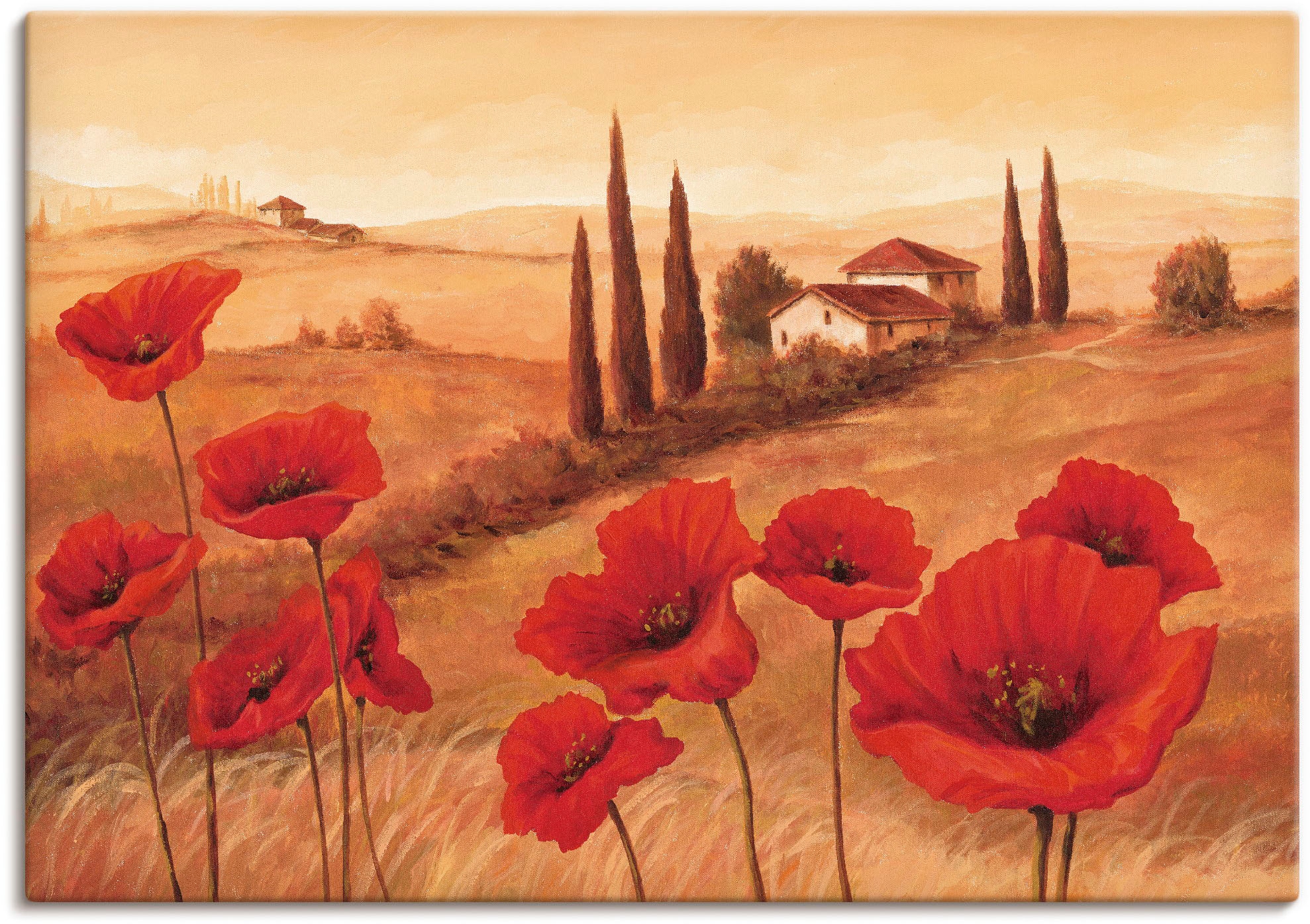 Artland Wandbild »Mohnblumen in der Toskana«, Europa, (1 St.), als Alubild,  Leinwandbild, Wandaufkleber oder Poster in versch. Größen online bei OTTO