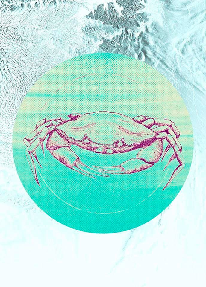 »Crab OTTO Sea«, online Schlafzimmer, Poster Komar Wohnzimmer bei Kinderzimmer, Tiere,
