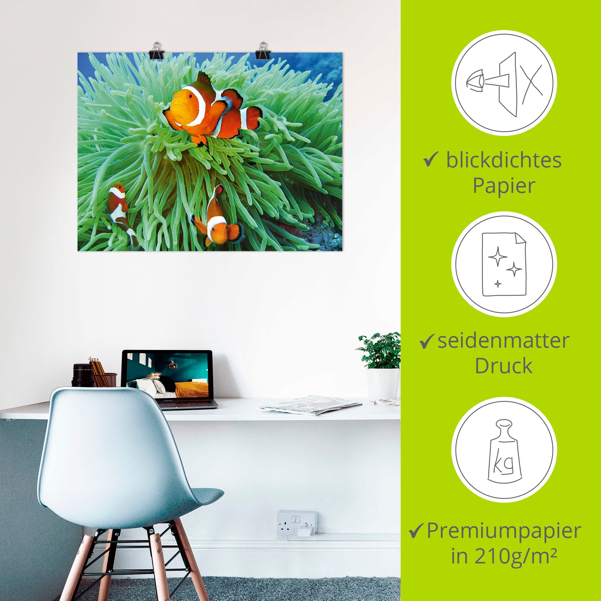Artland Wandbild »Finde Nemo«, Wassertiere, (1 St.), als Poster, Wandaufkleber in verschied. Größen