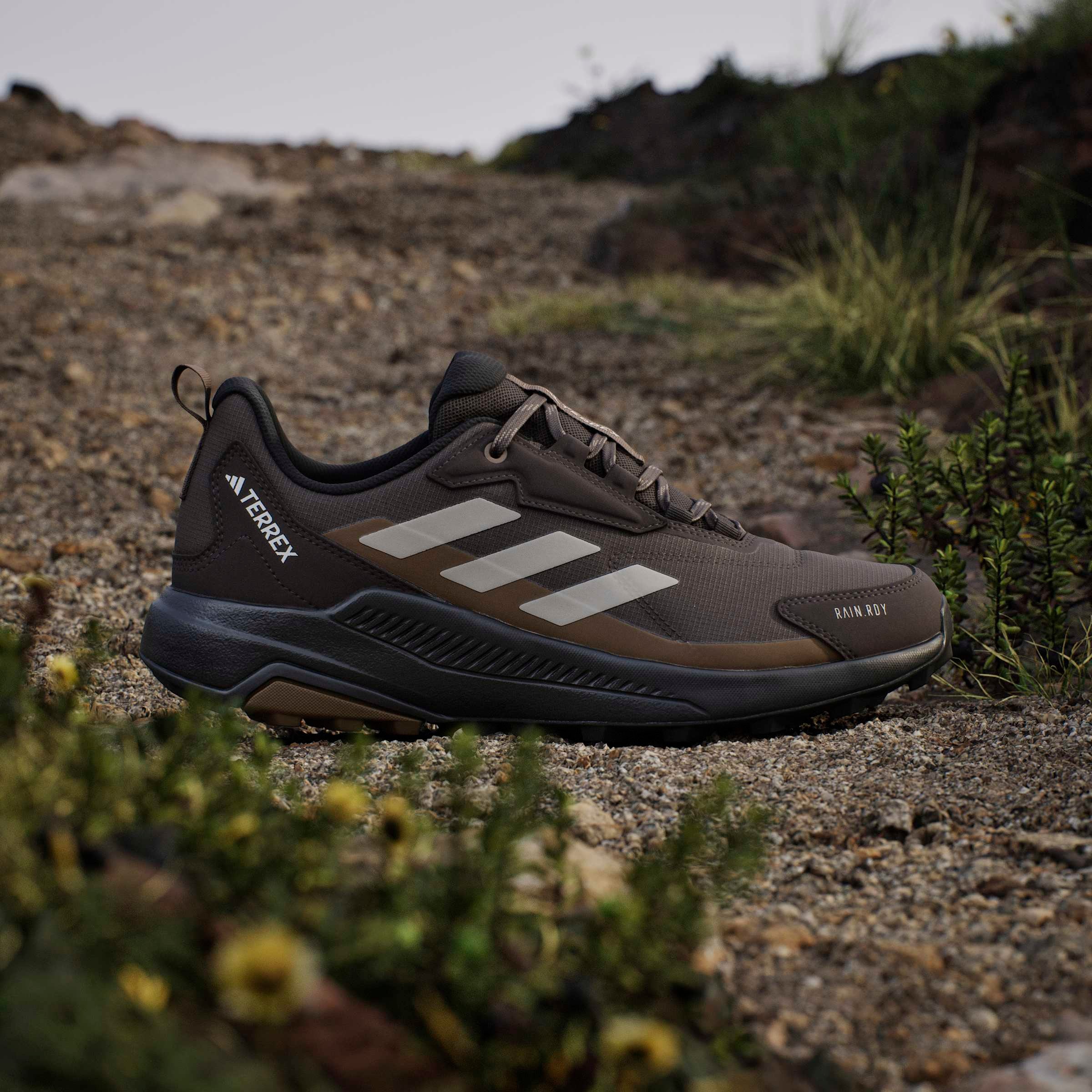 adidas TERREX Wanderschuh »ANYLANDER RAIN.RDY«  wasserdicht
