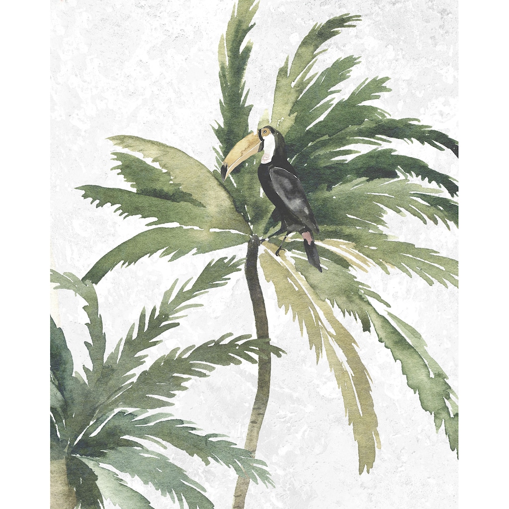 Komar Poster »Tropical Toucan«, (1 St.)