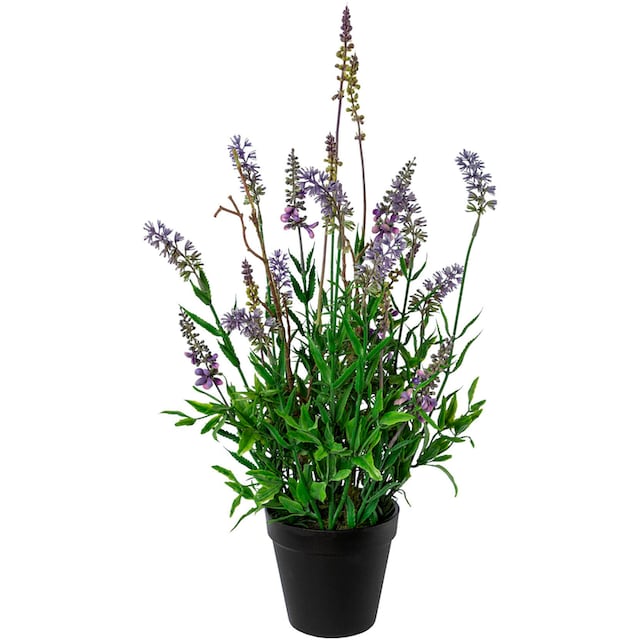 Creativ green Kunstblume »Lavendel im Topf«, (1 St.) online bei OTTO