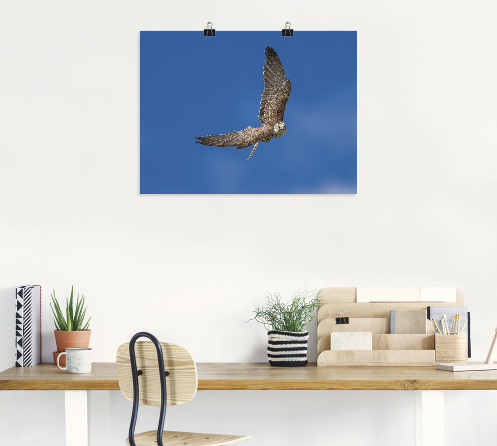 Artland Poster »Der Falke« Vögel 1 Stk. tlg. ohne Rahmen
