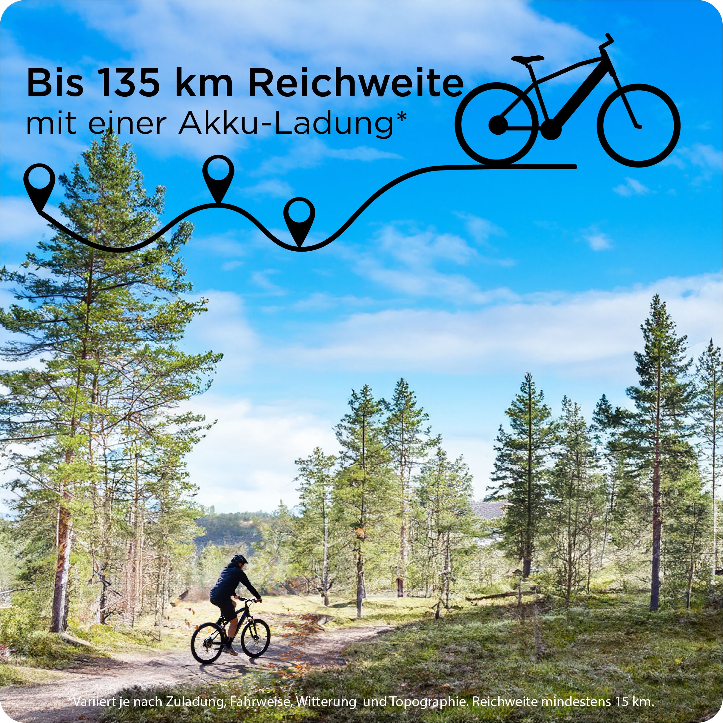 Zündapp E-Bike »Z898«, 10 Gang, Heckmotor 250 W, E-Bike E Mountainbike 27,5 Zoll Pedelec 170 - 190 cm Hardtail MTB