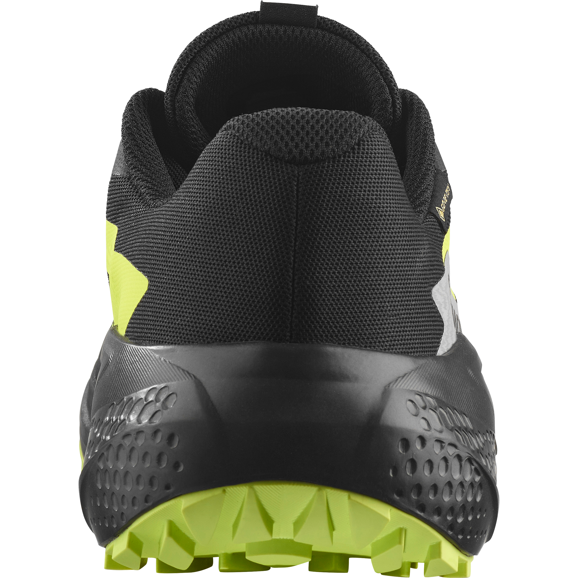 Salomon Trailrunningschuh »ALPHAGLIDE GTX«, wasserdicht